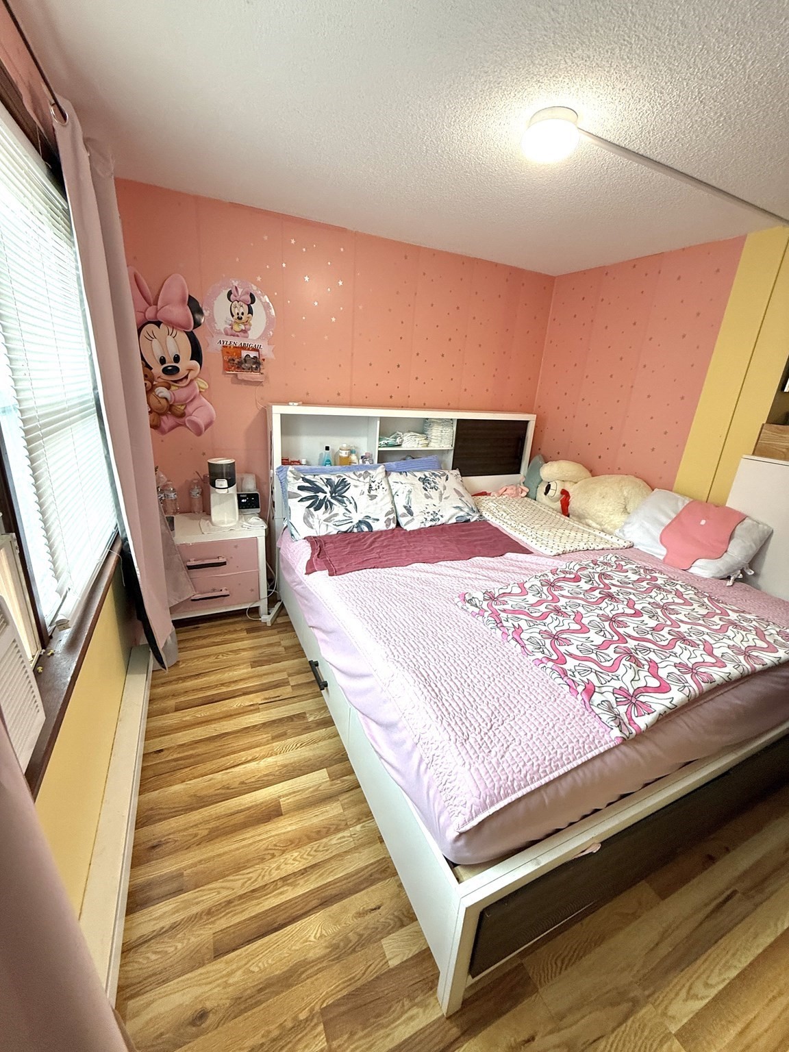 67 Everard St Property Photo 16