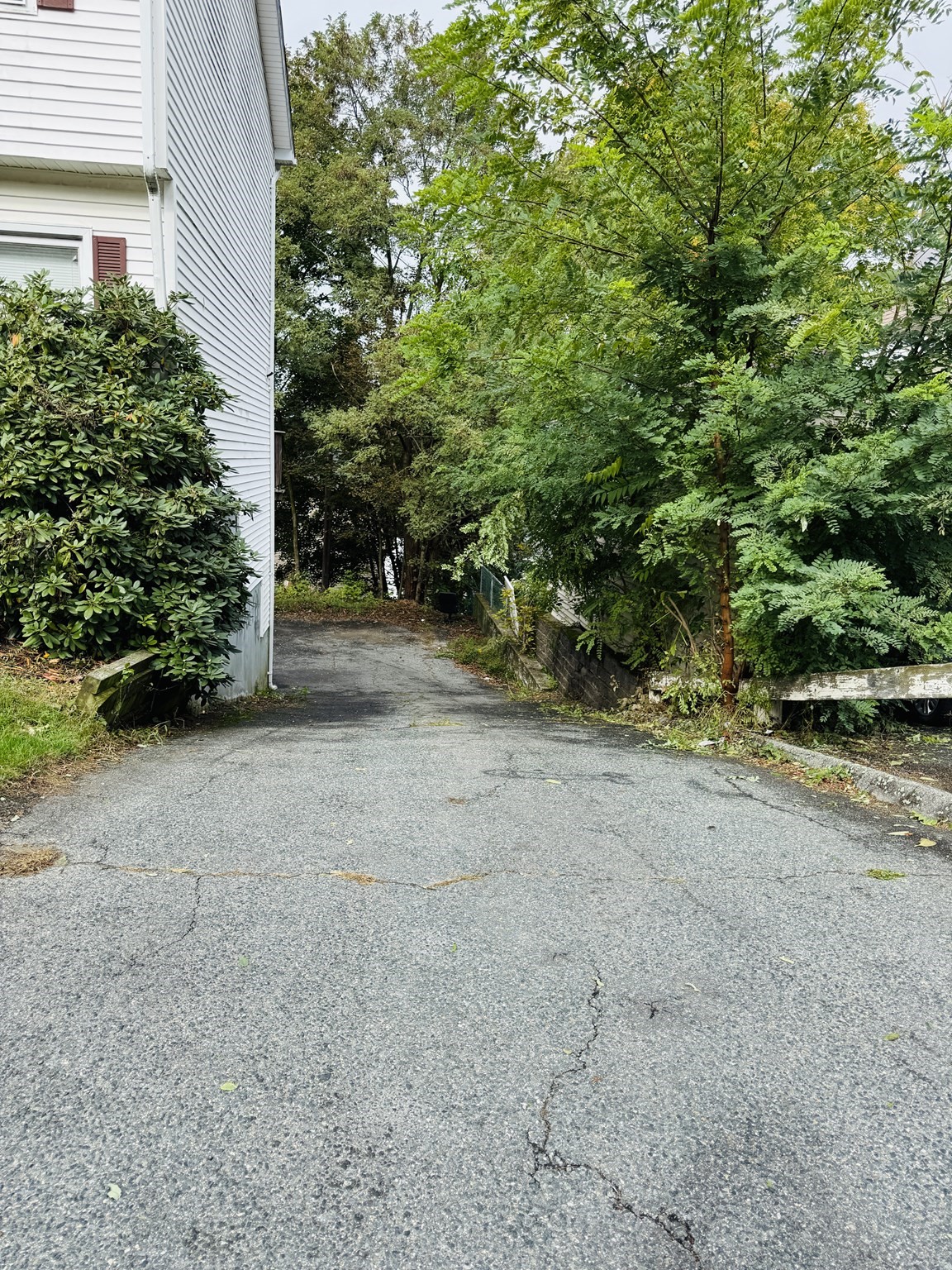 67 Everard St Property Photo 21