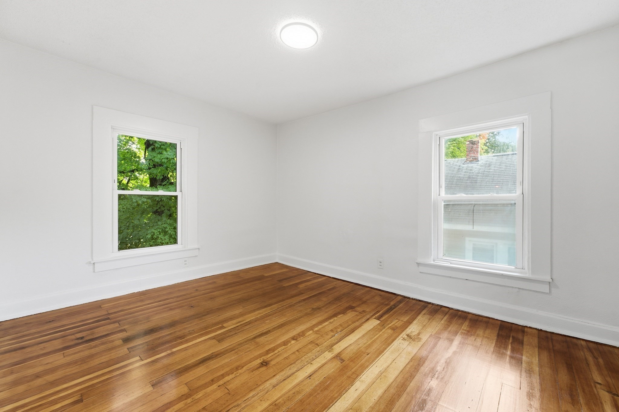 73 Jasper St Property Photo 19