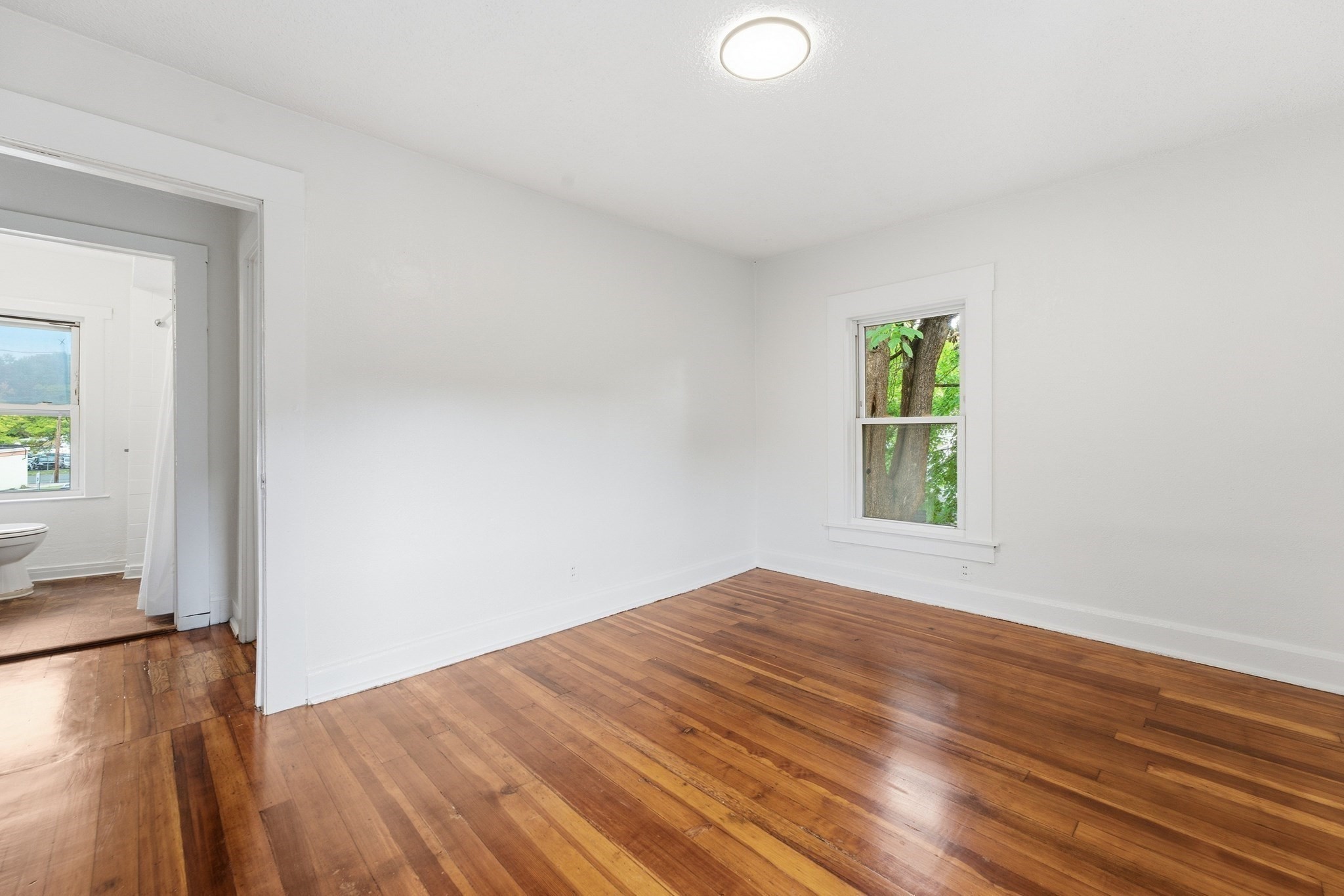 73 Jasper St Property Photo 21
