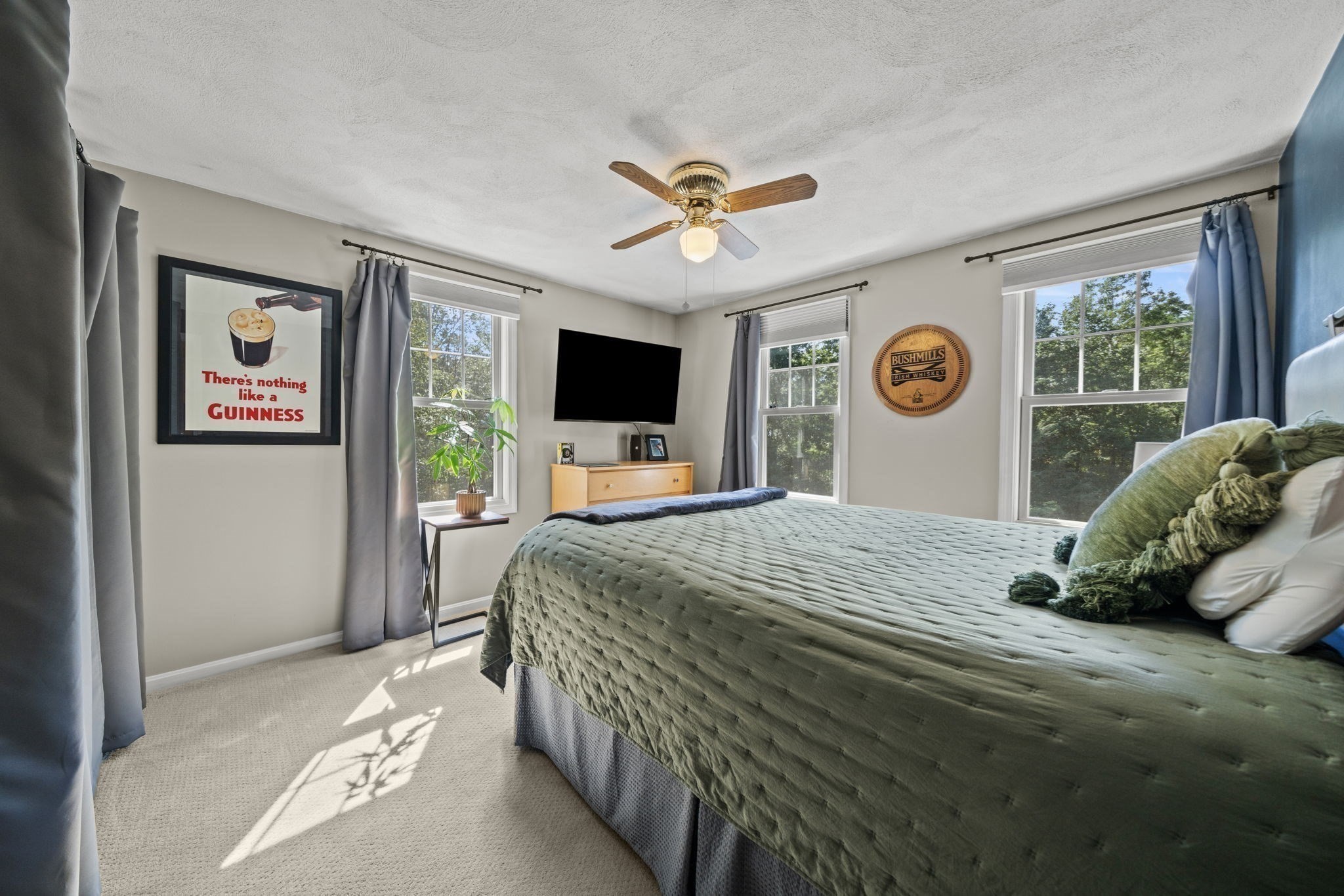 26 Elizabeth Street Property Photo 23
