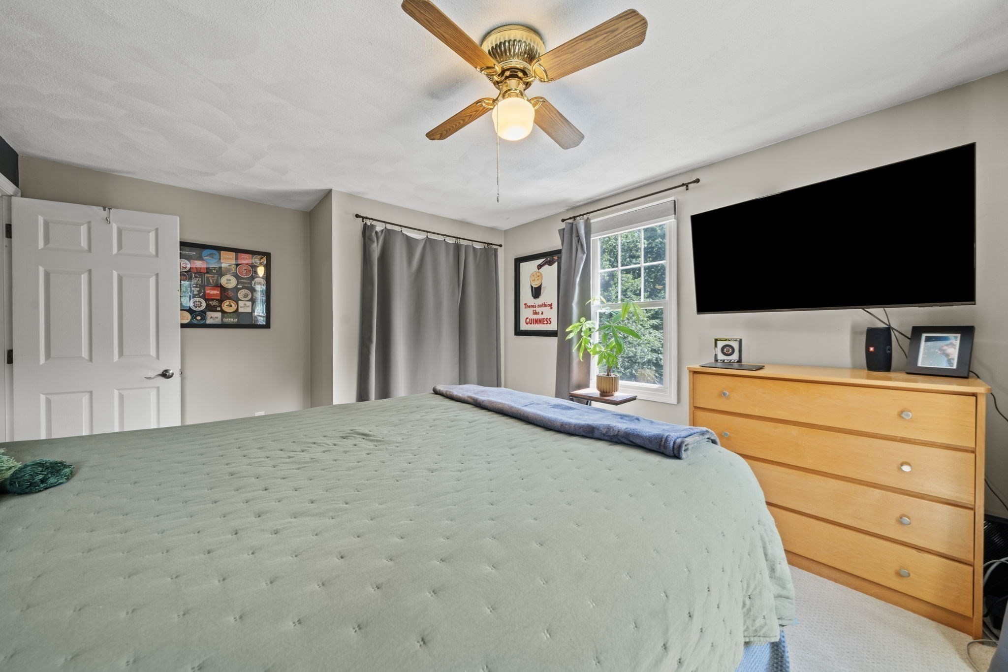 26 Elizabeth Street Property Photo 24