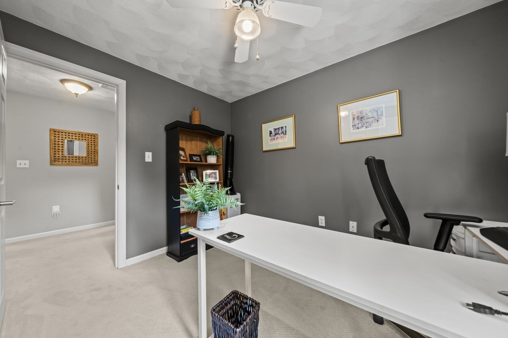 26 Elizabeth Street Property Photo 25