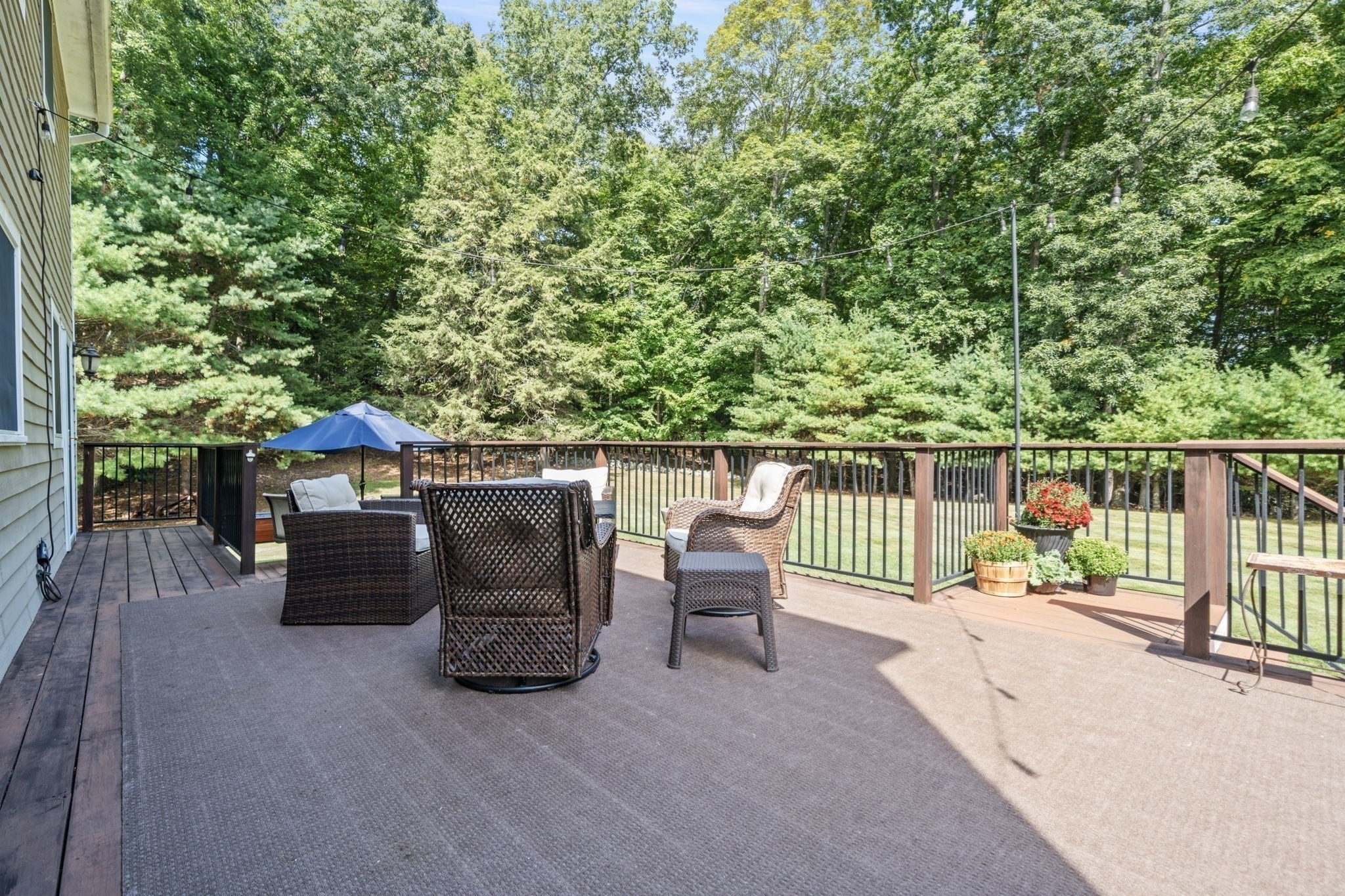 26 Elizabeth Street Property Photo 30