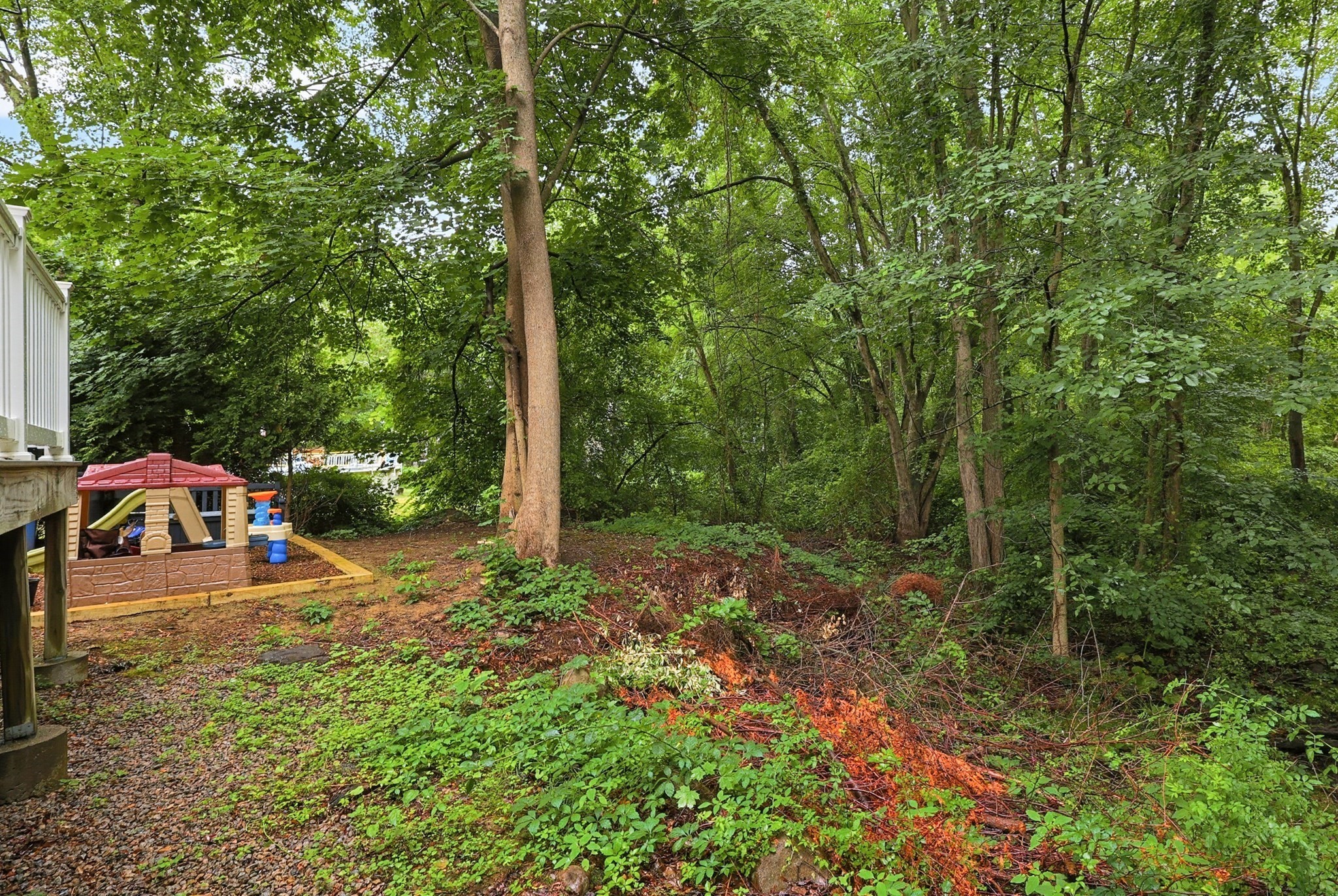 109 Bear Hill Rd Property Photo 32