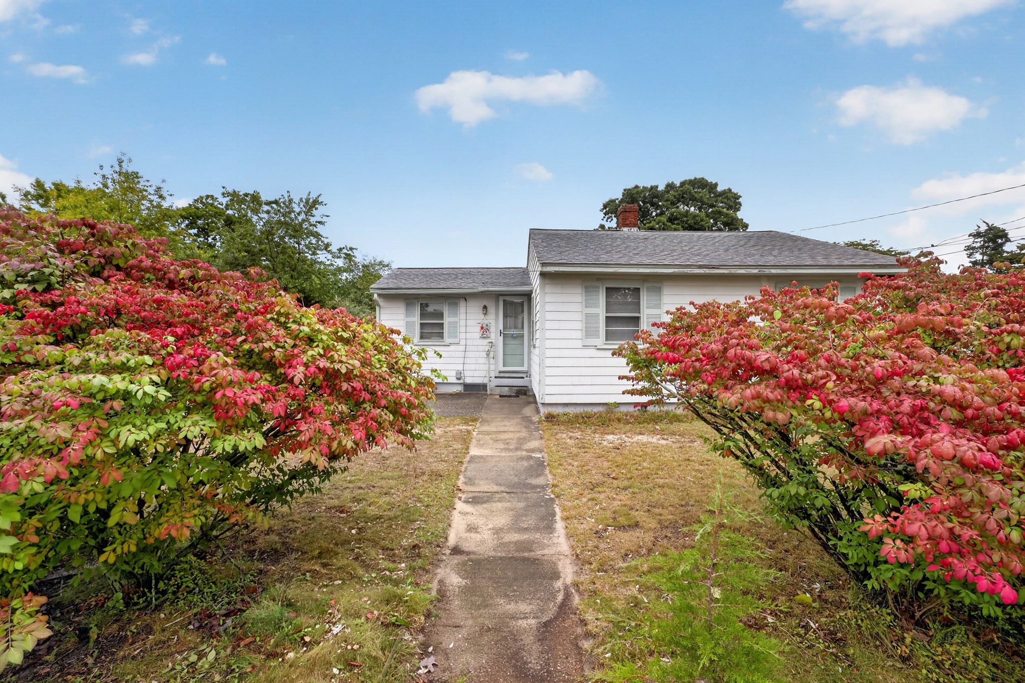 24 Broadmarsh Ave Property Photo 30