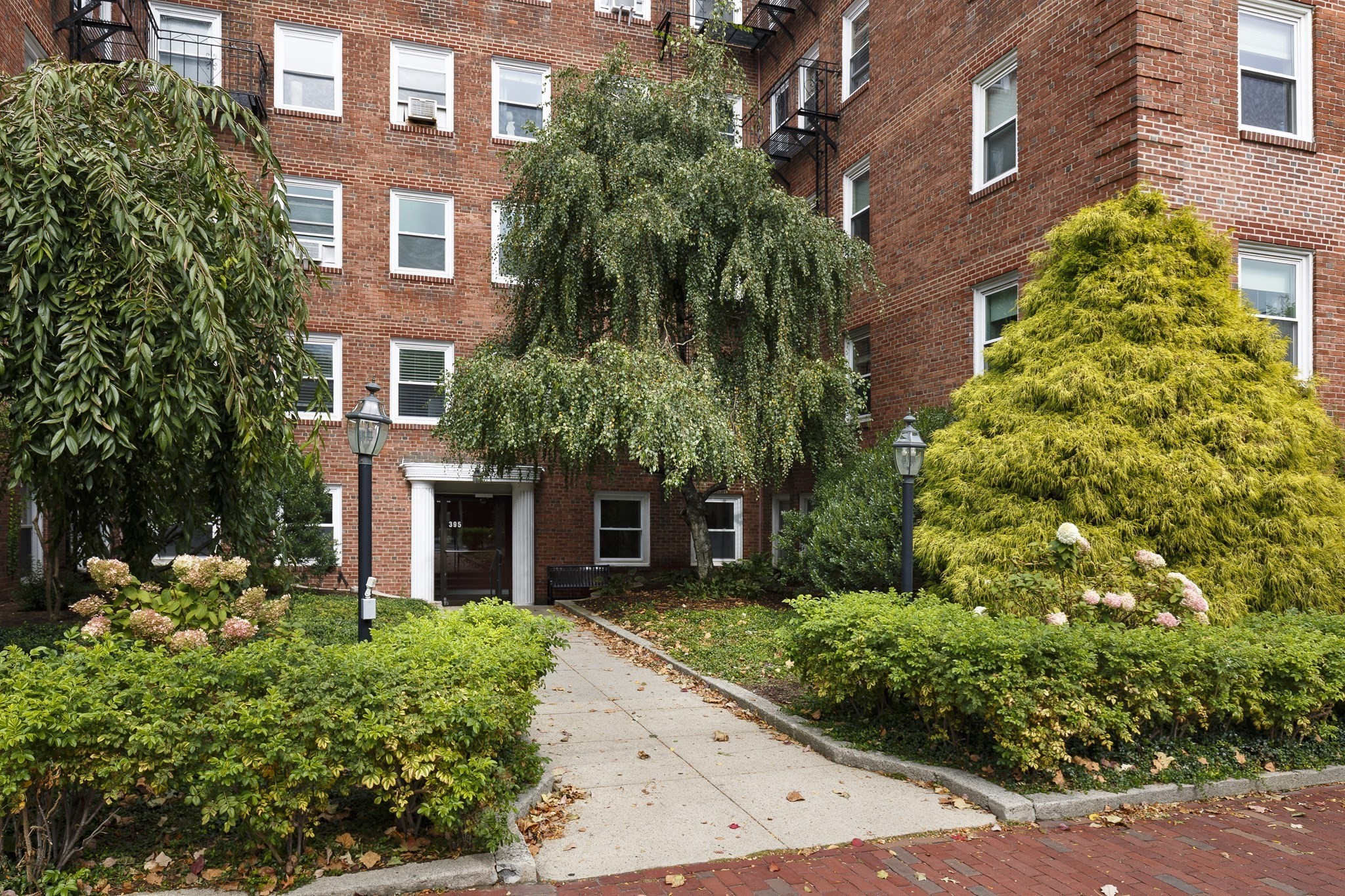 395 Broadway Property Photo 1