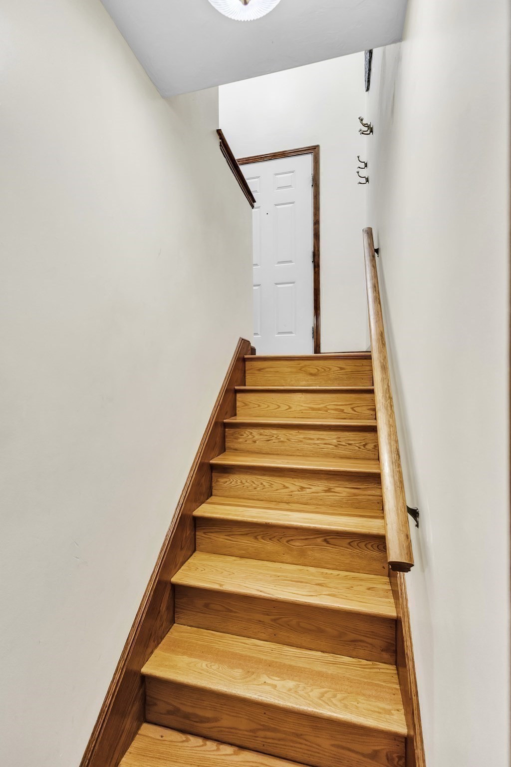 42 Melbourne Rd Property Photo 23