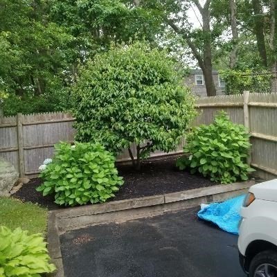 47 Ellisville Dr Property Photo 4