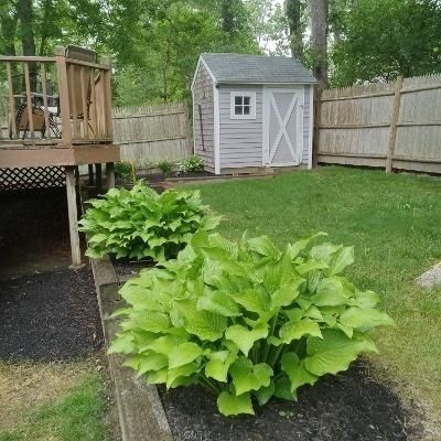 47 Ellisville Dr Property Photo 5