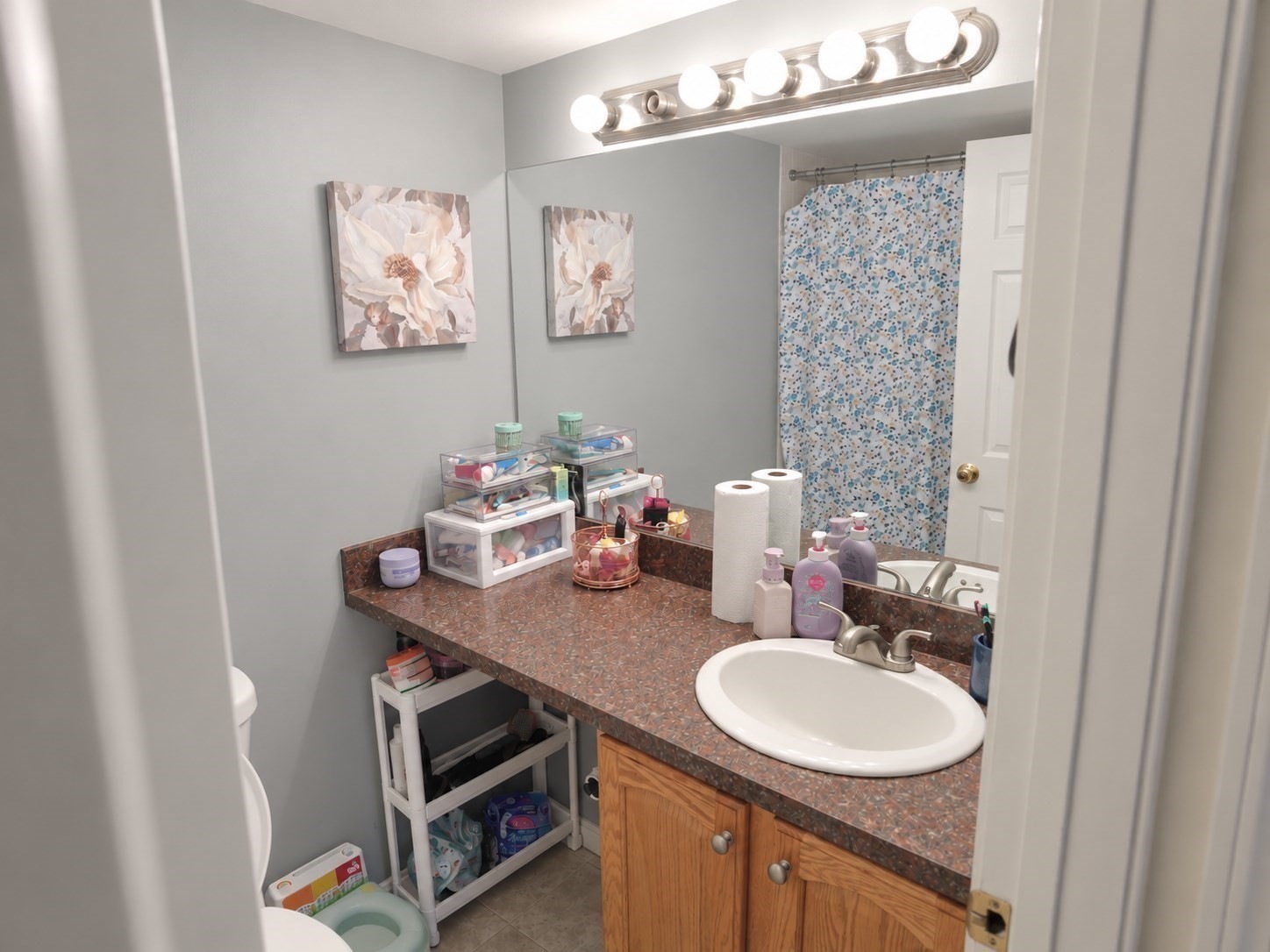 1303 Carriage Ln # 1303 Property Photo 5