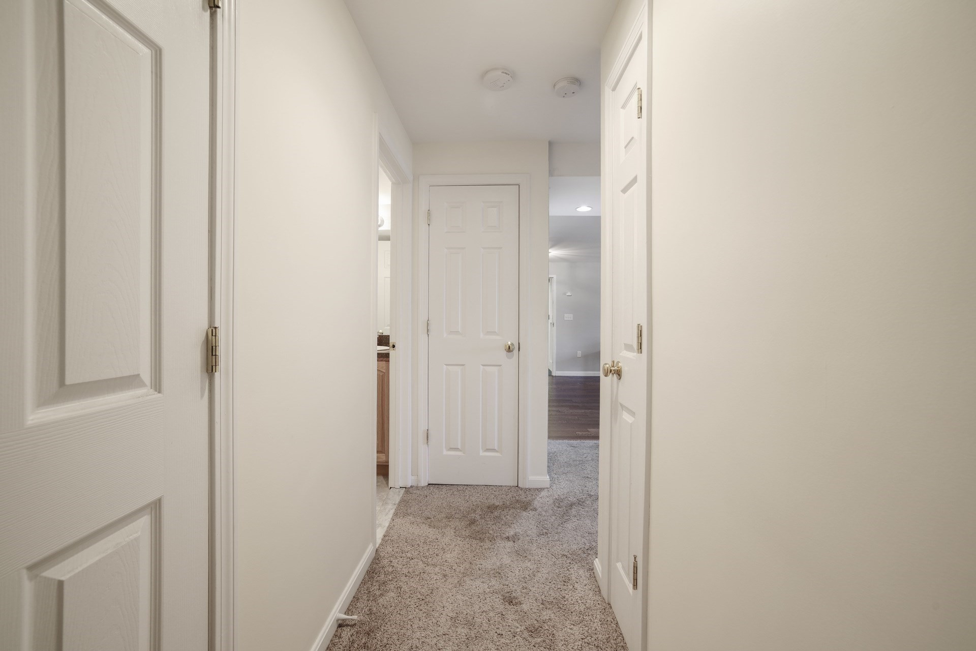 1303 Carriage Ln # 1303 Property Photo 9