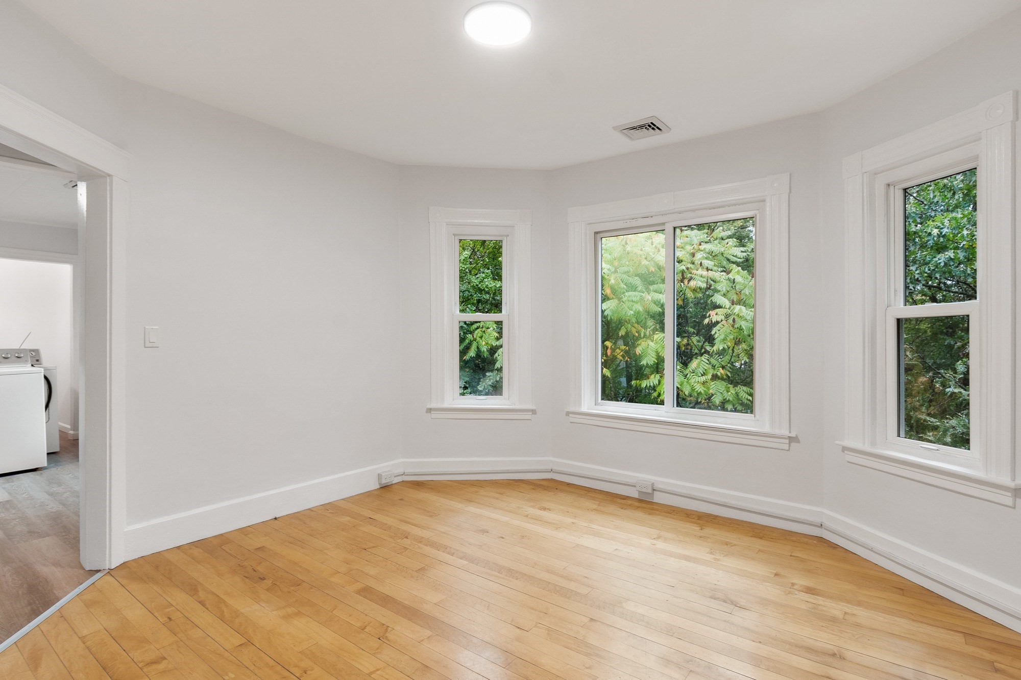 15 Nutting St Property Photo 38