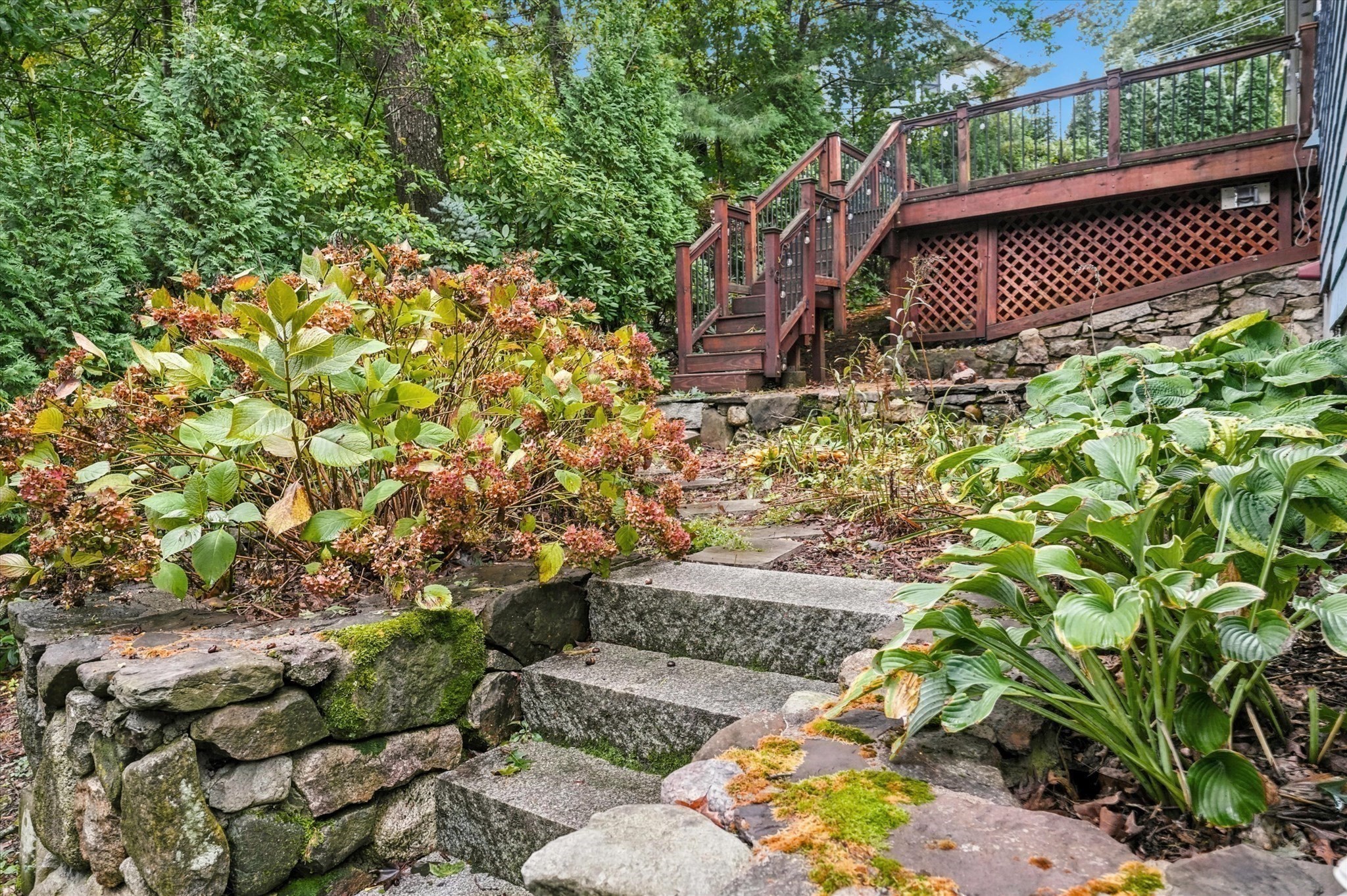 14 Highgate St Property Photo 35