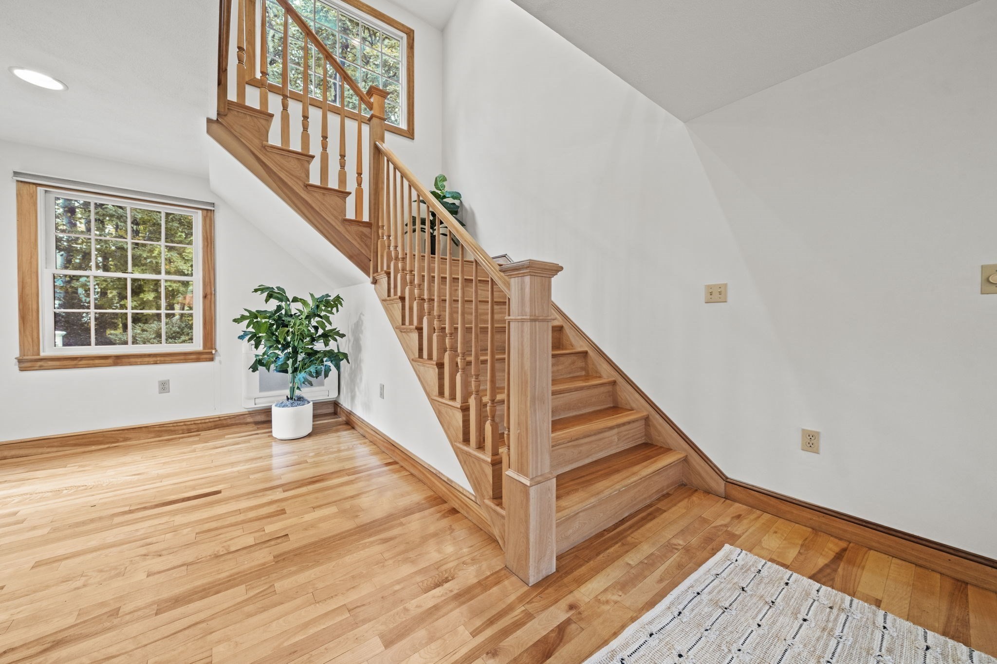 54 Edward Ave Property Photo 17