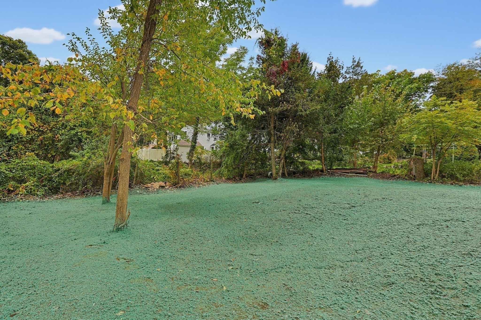 6 Harris Ave Property Photo 13