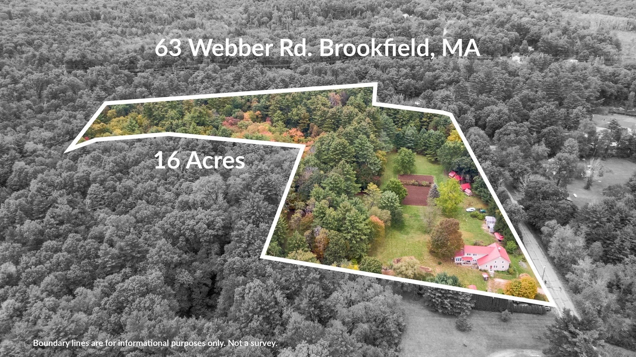 63 Webber Rd Property Photo 40