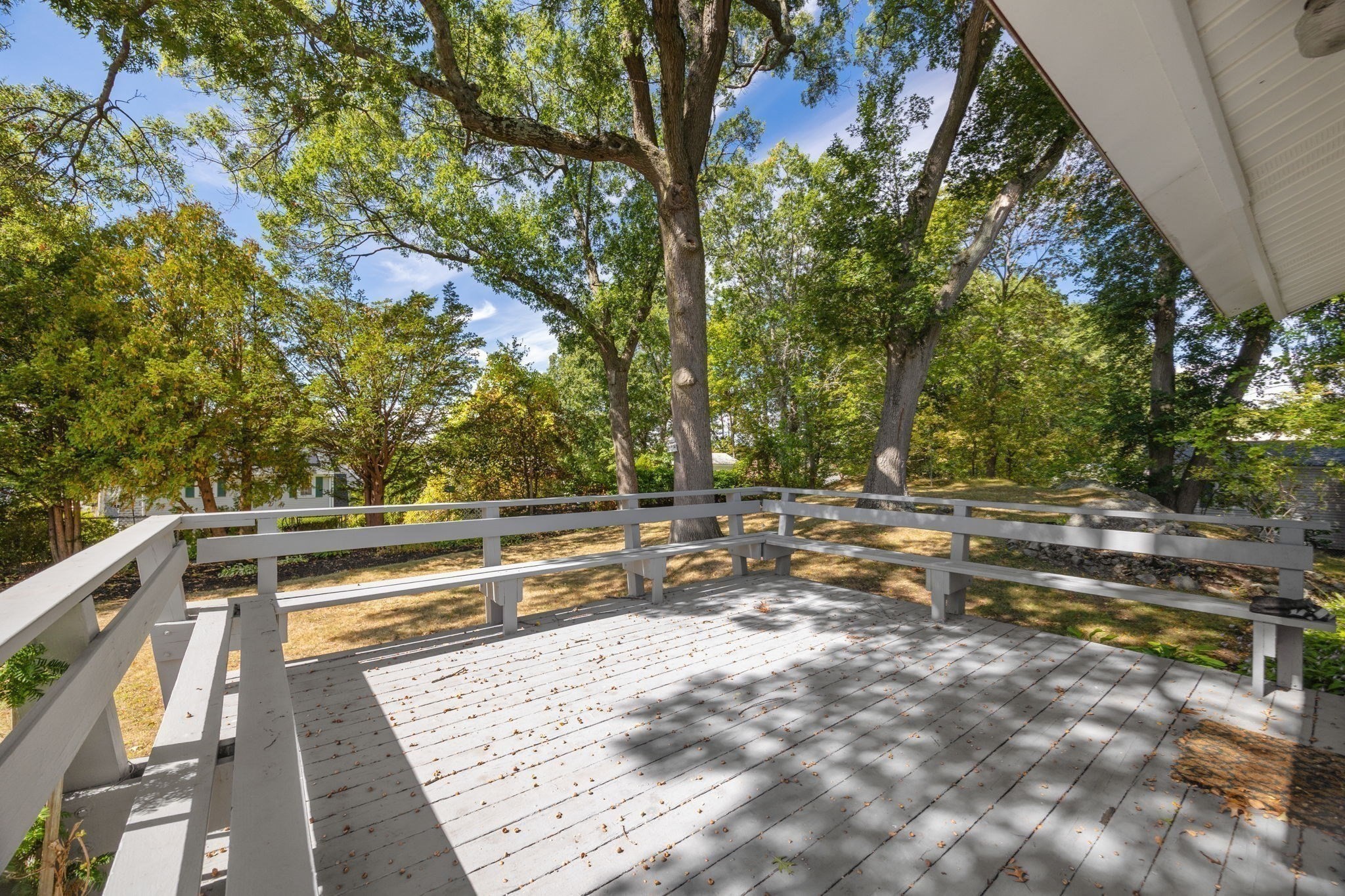 56 Rockdale Property Photo 34