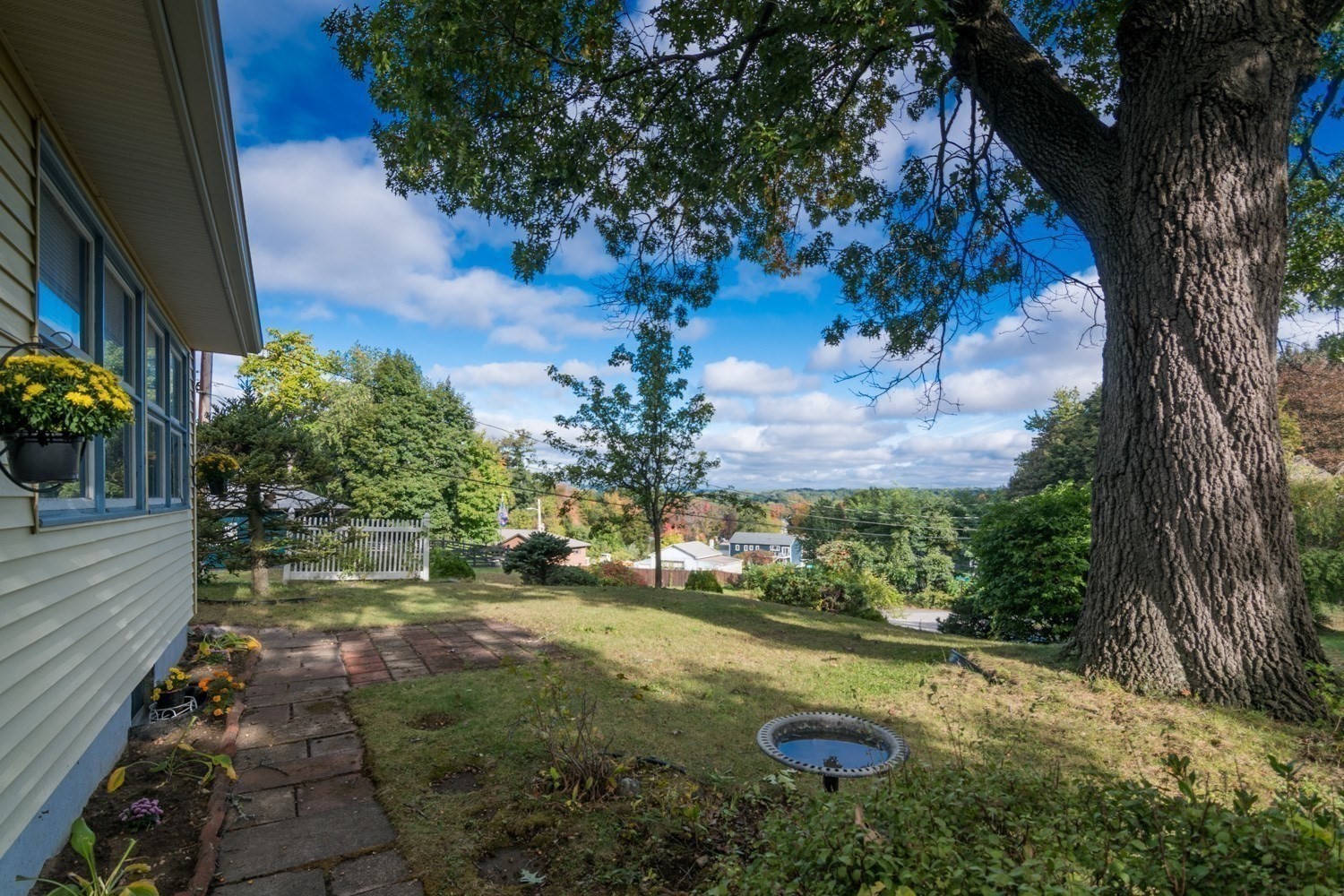 63 Martha Street Property Photo 2