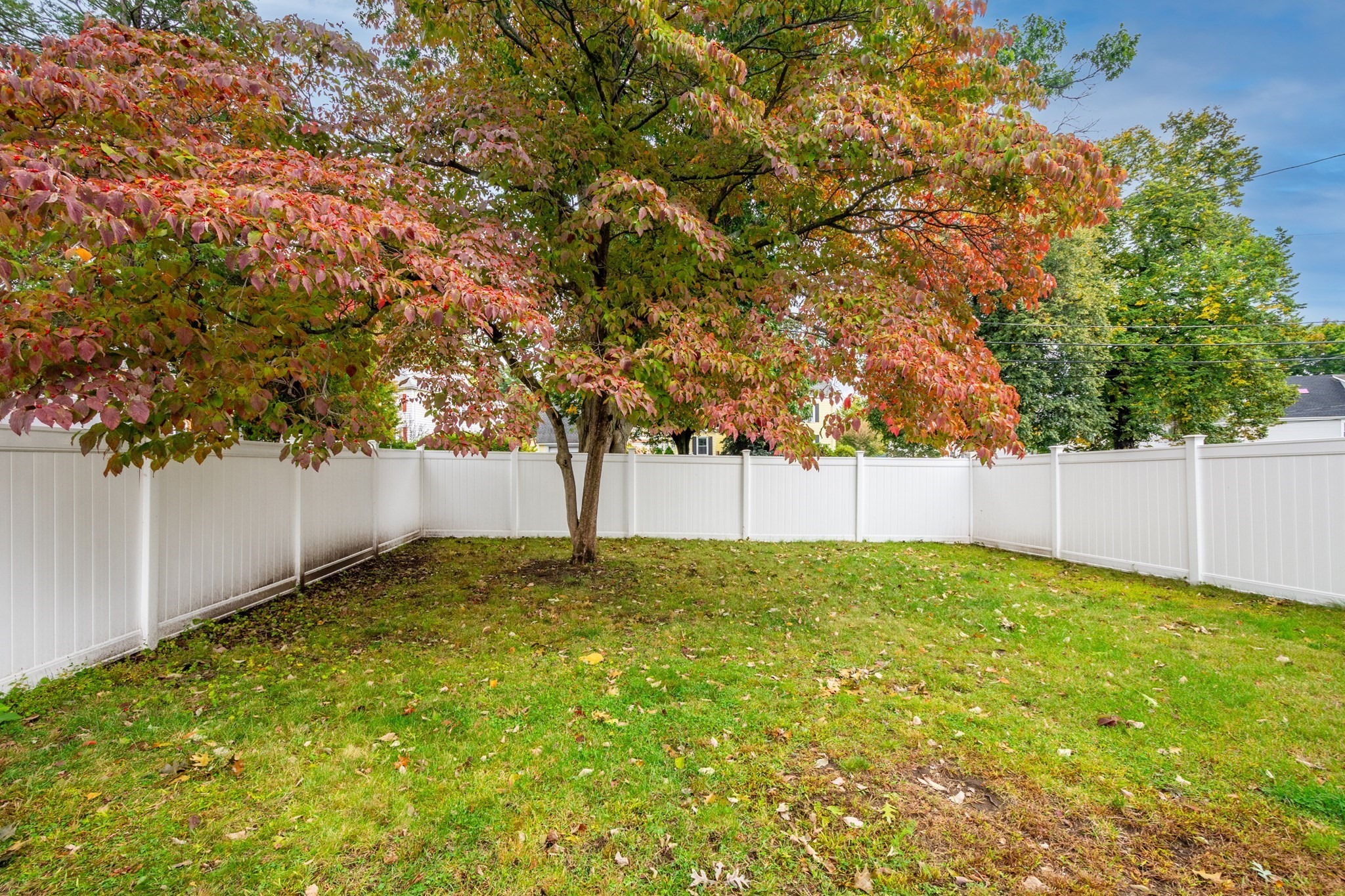 217 Lawrence St Property Photo 34