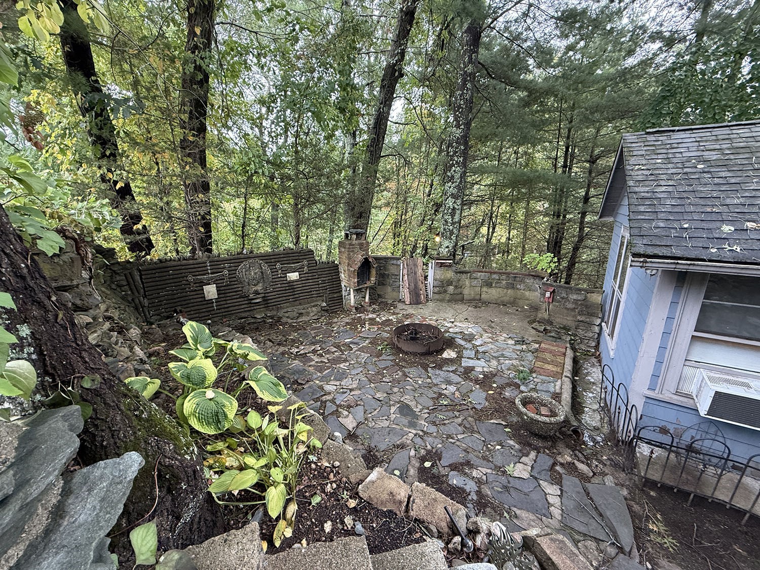 43 Bertine St Property Photo 29