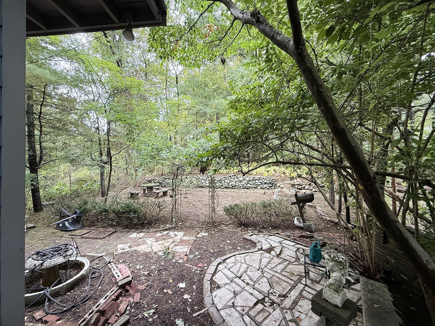 43 Bertine St Property Photo 31