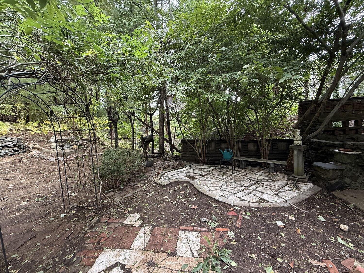 43 Bertine St Property Photo 37