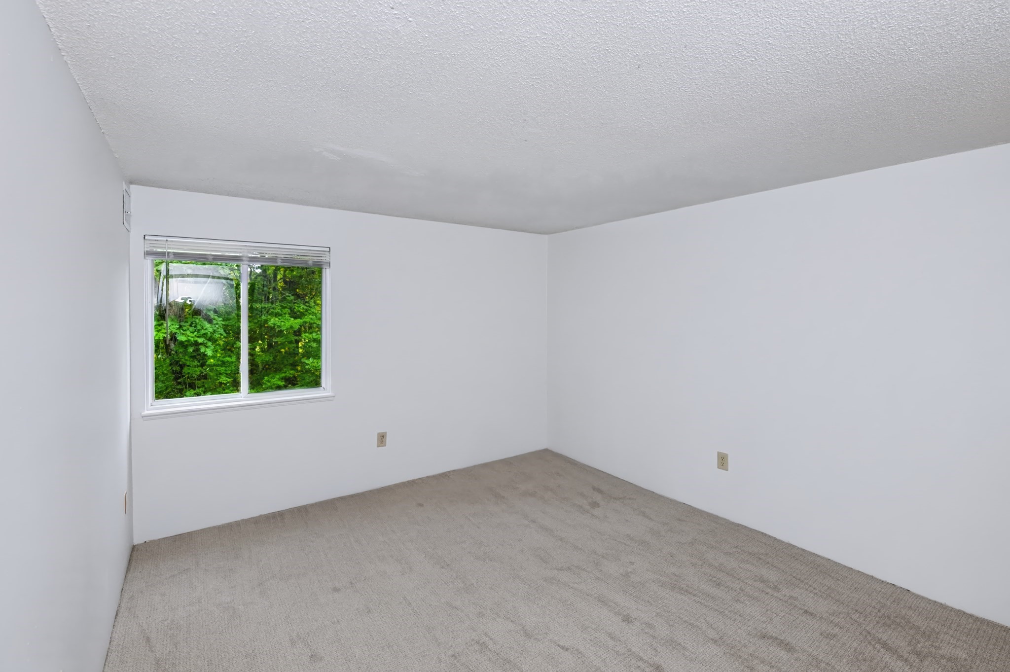 50 Silver Hill Ln # 5 Property Photo 13