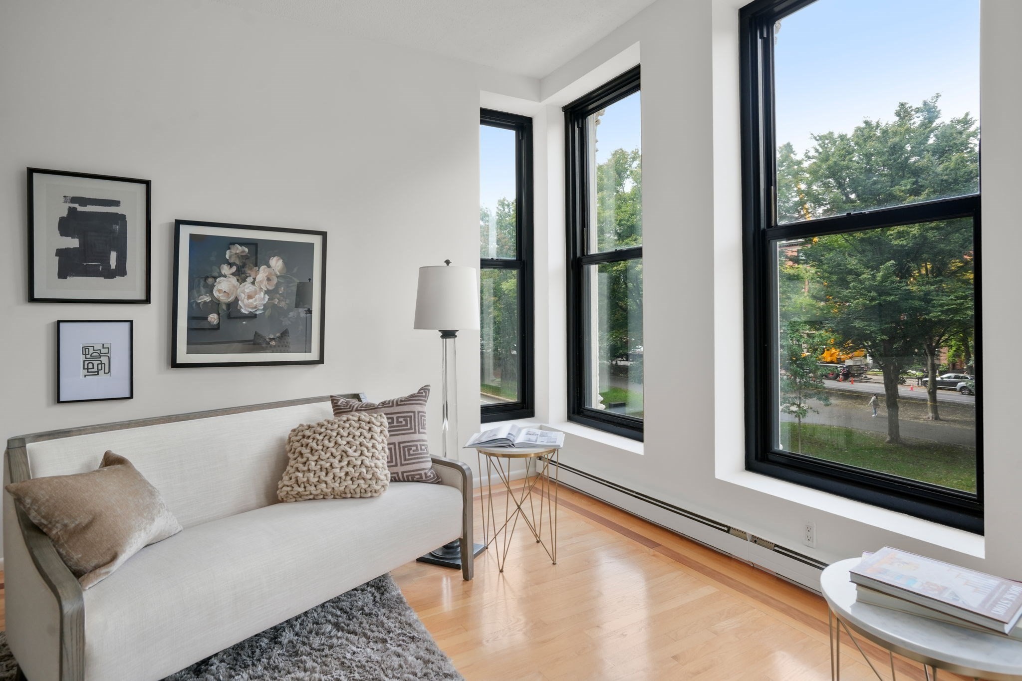 160 Commonwealth Avenue # 218 Property Photo 4