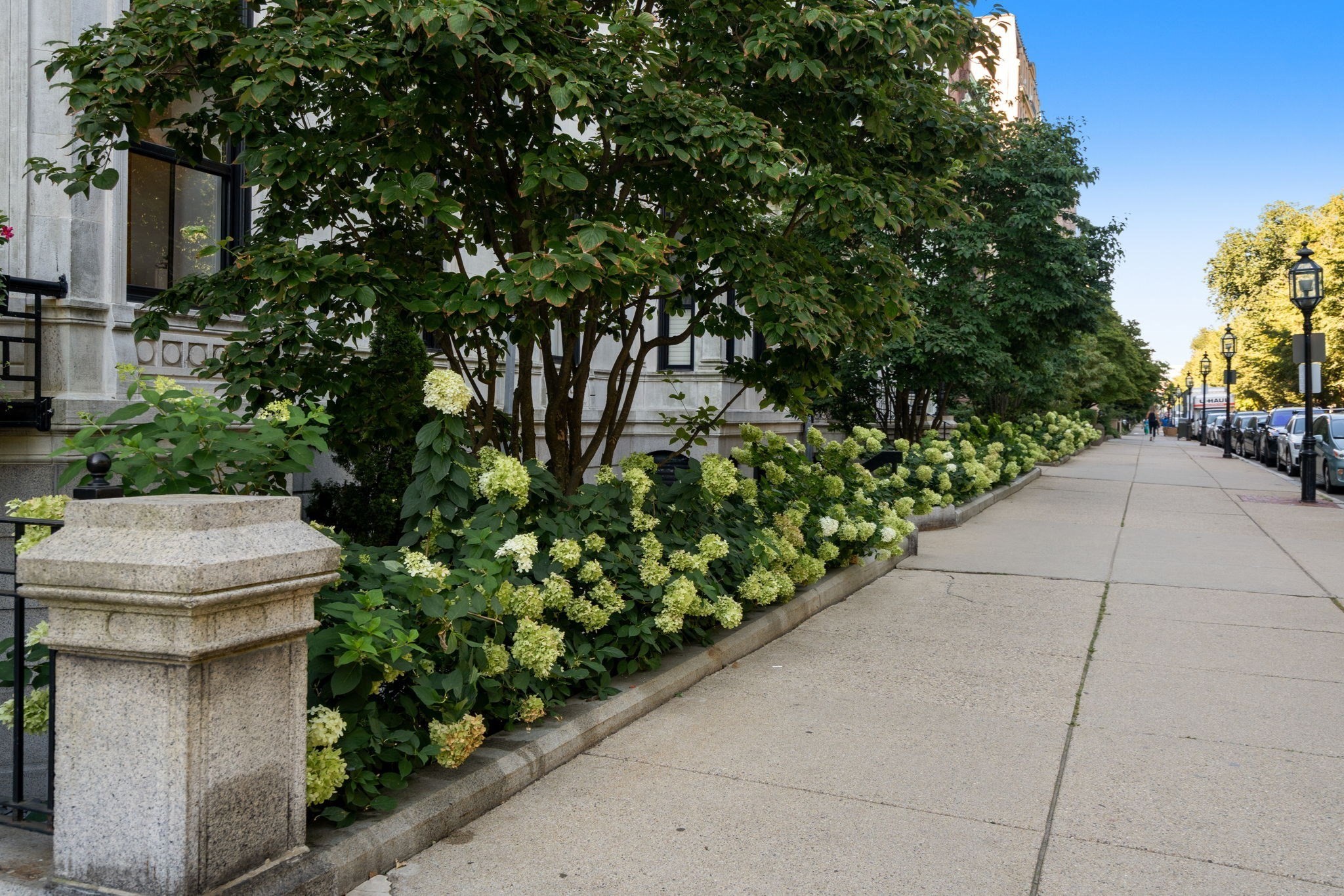 160 Commonwealth Avenue # 218 Property Photo 27