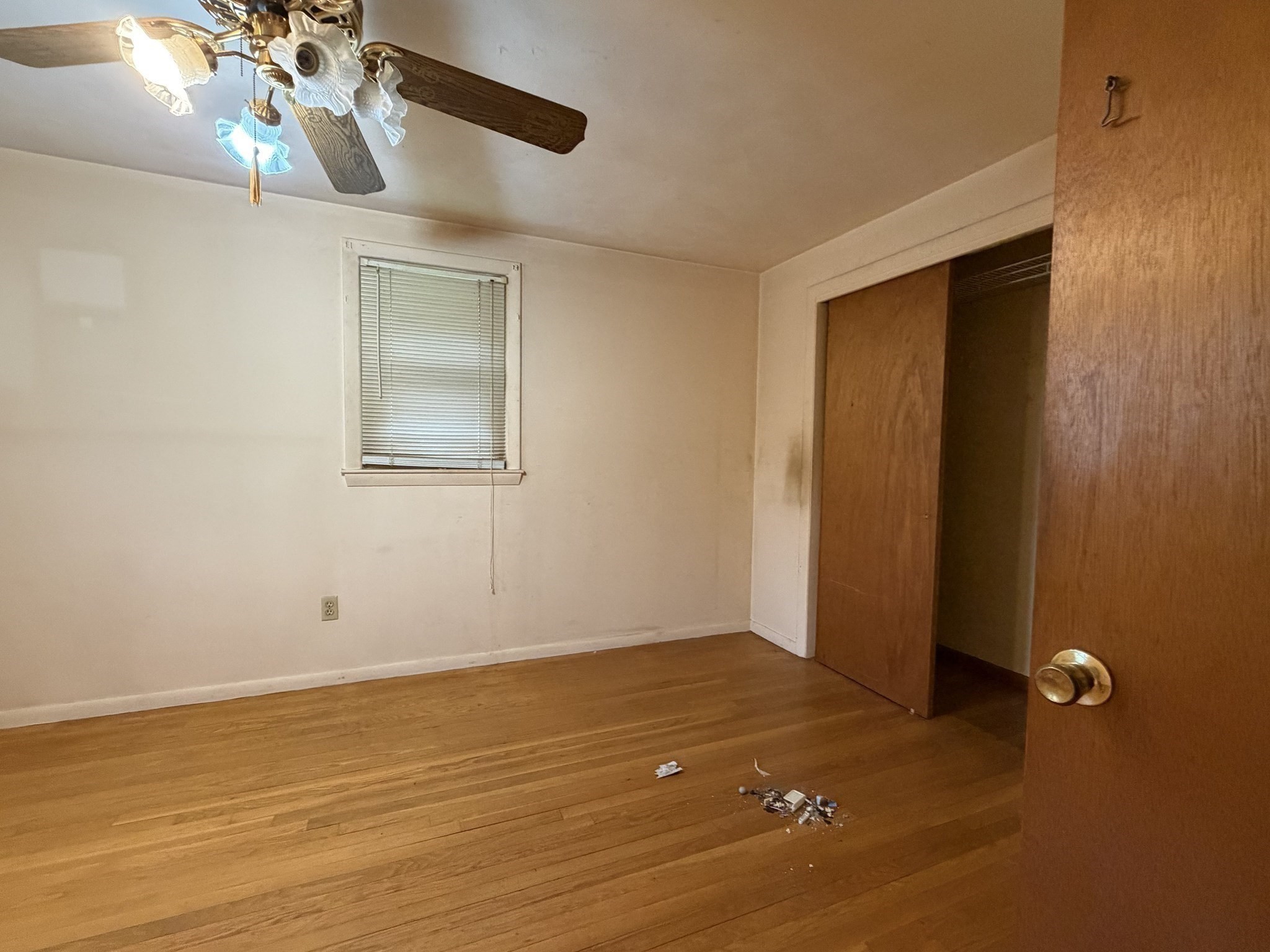 27 Dillon St Property Photo 12