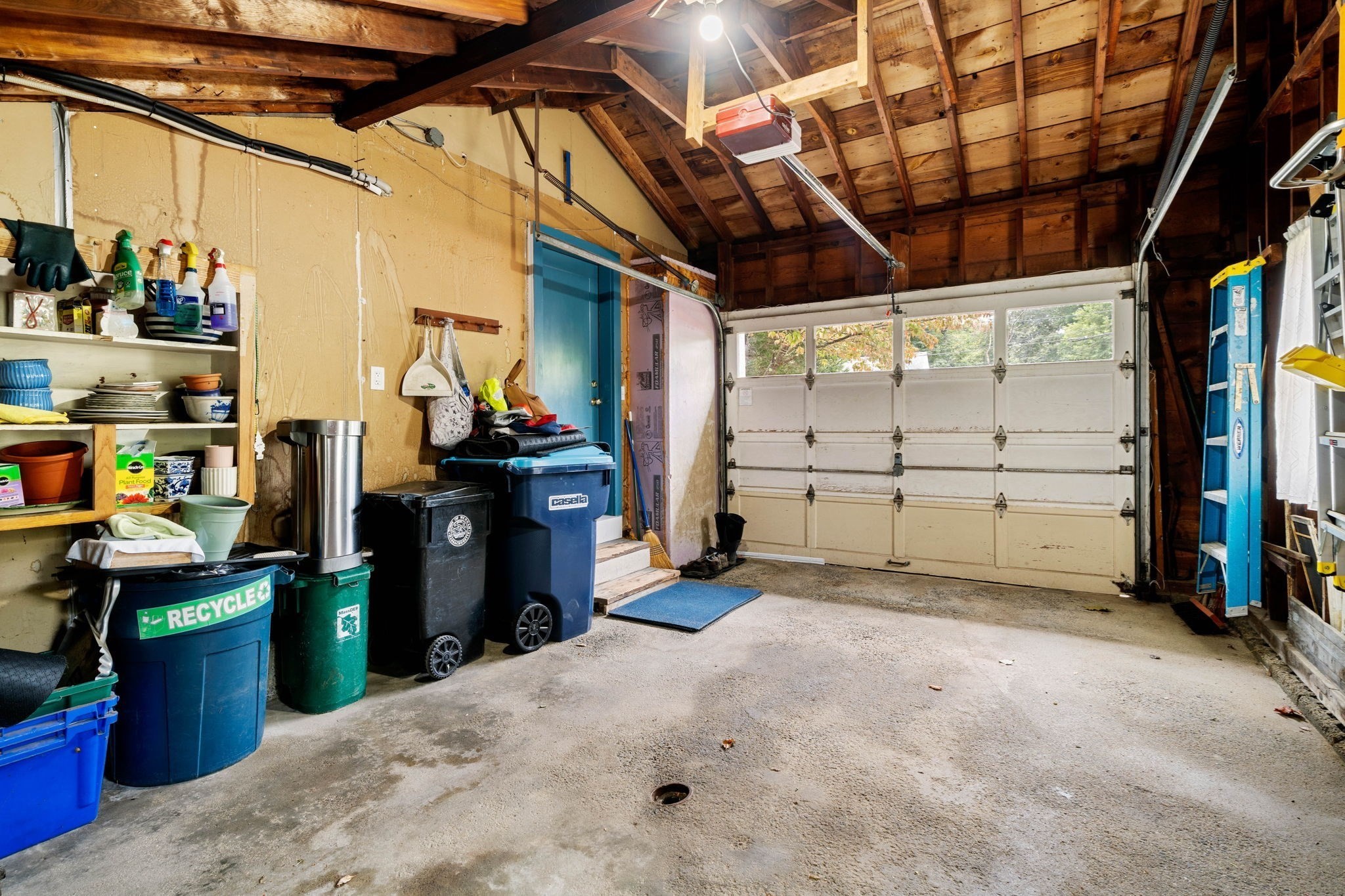 14 Ortins Rd Property Photo 29