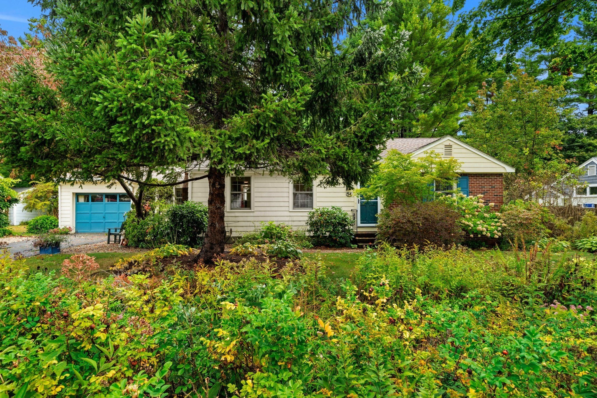 14 Ortins Rd Property Photo 30