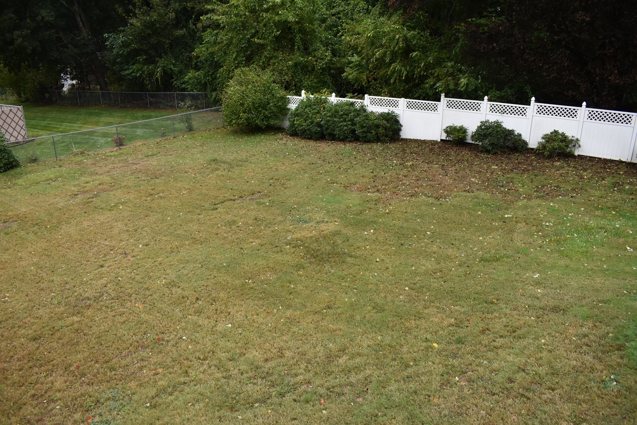 107 Gardner St Property Photo 5