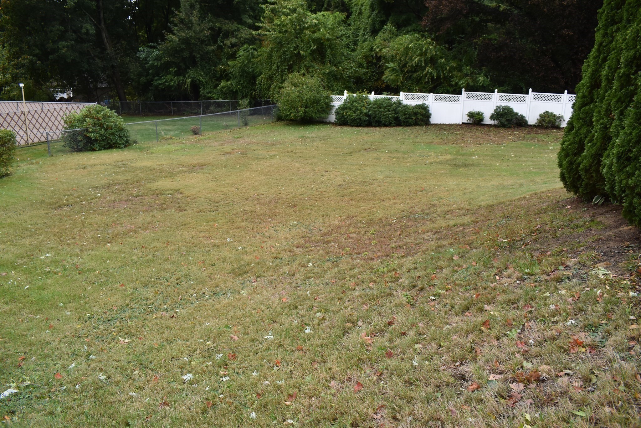 107 Gardner St Property Photo 33