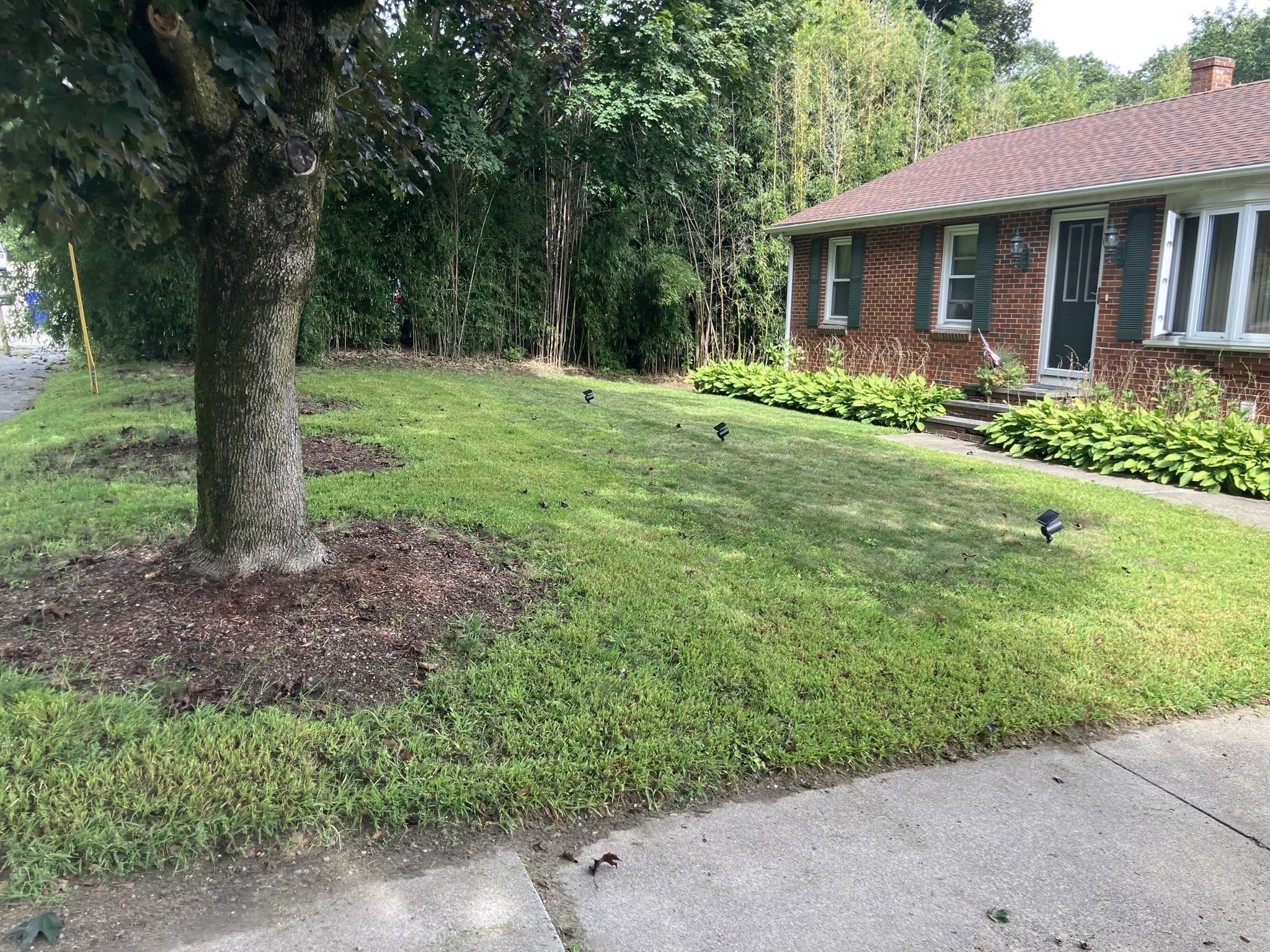 770 County Street Property Photo 2
