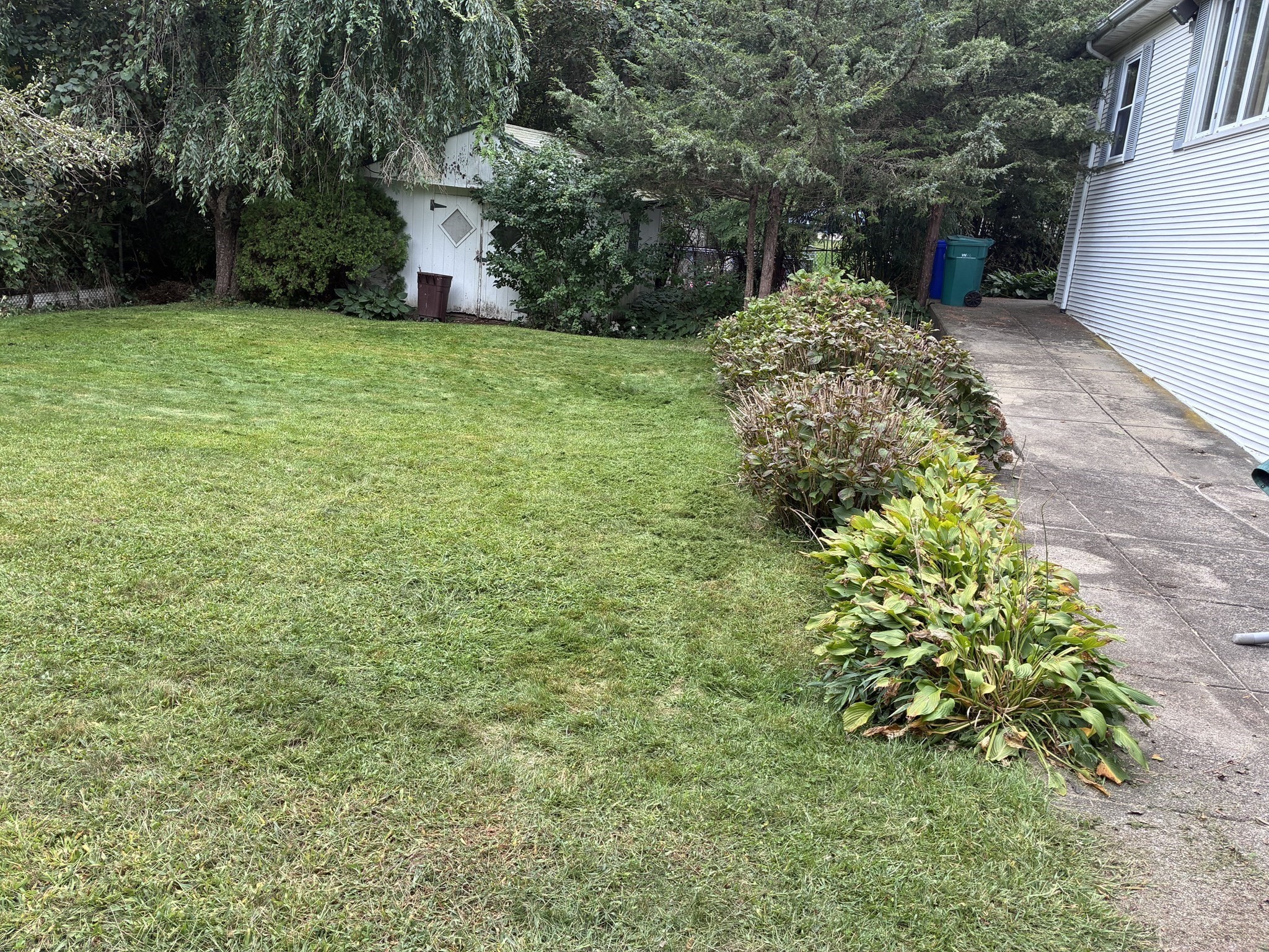 770 County Street Property Photo 5