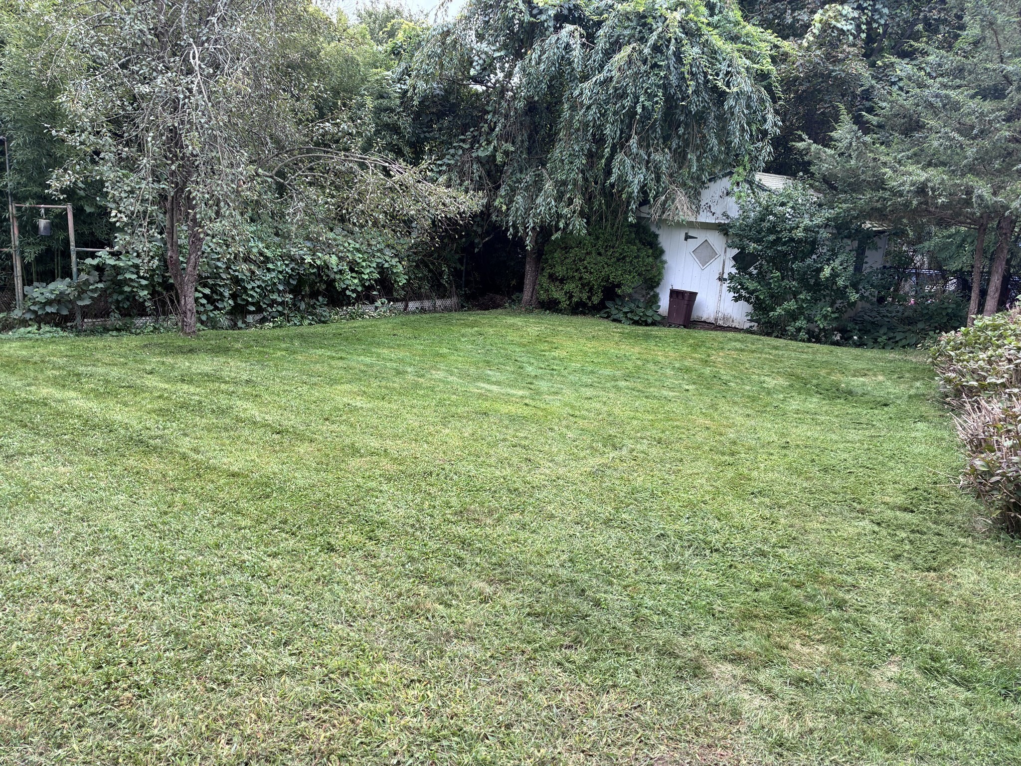 770 County Street Property Photo 6