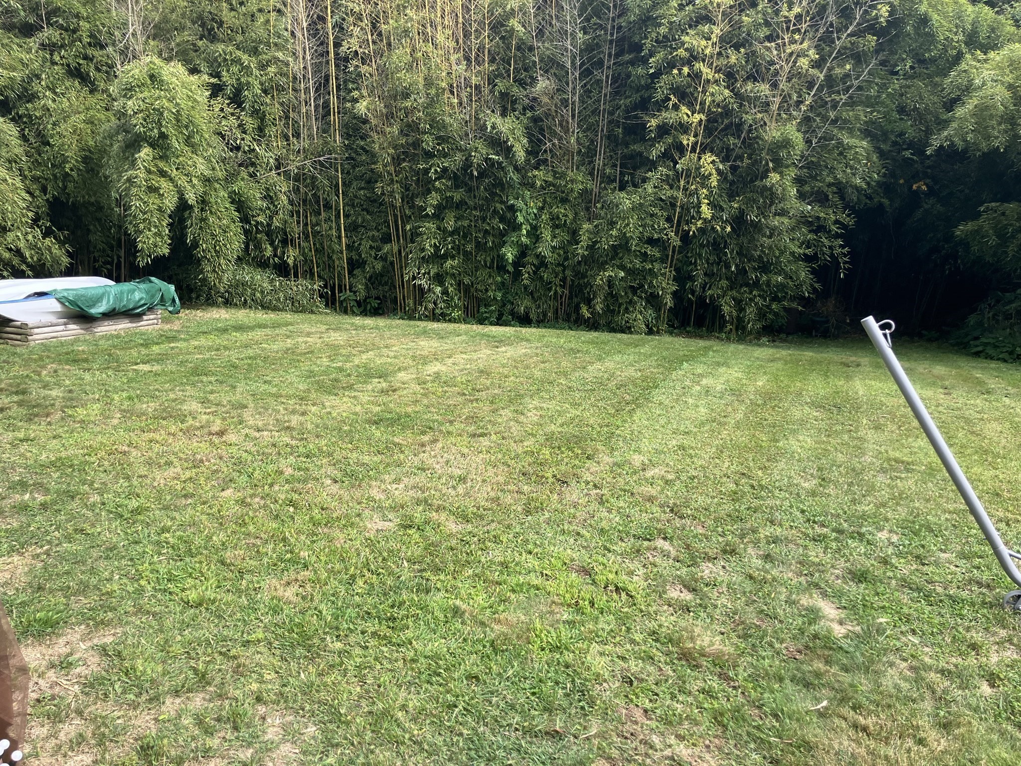770 County Street Property Photo 11