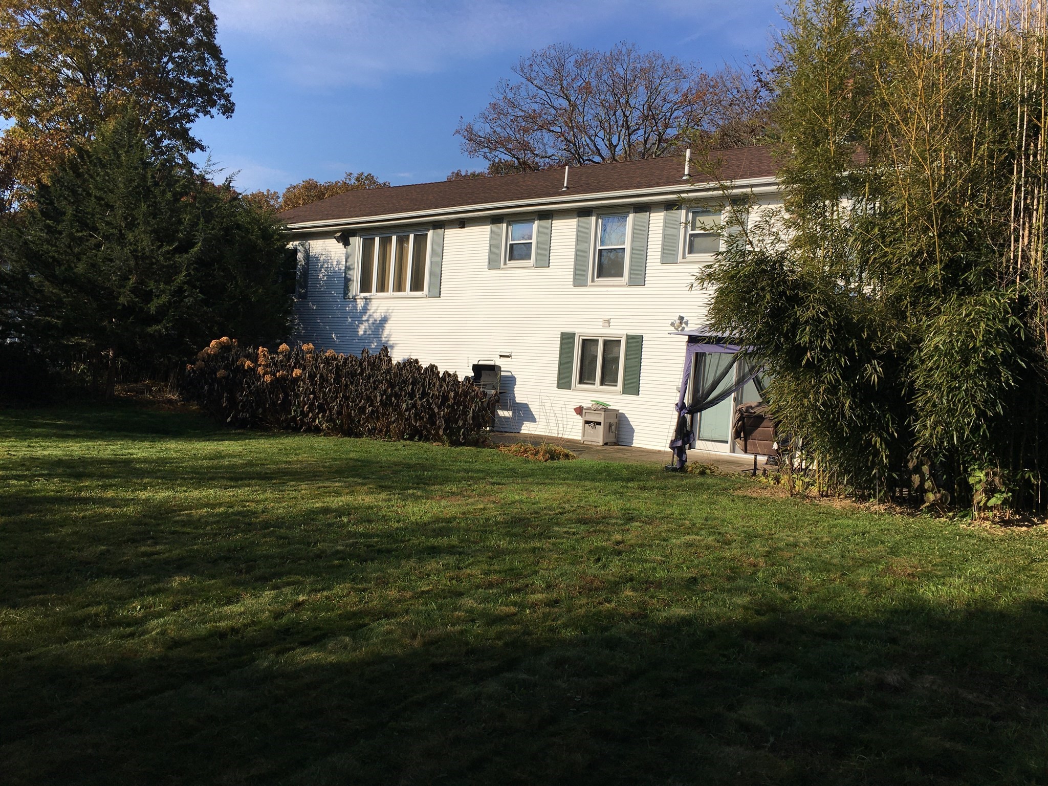 770 County Street Property Photo 19