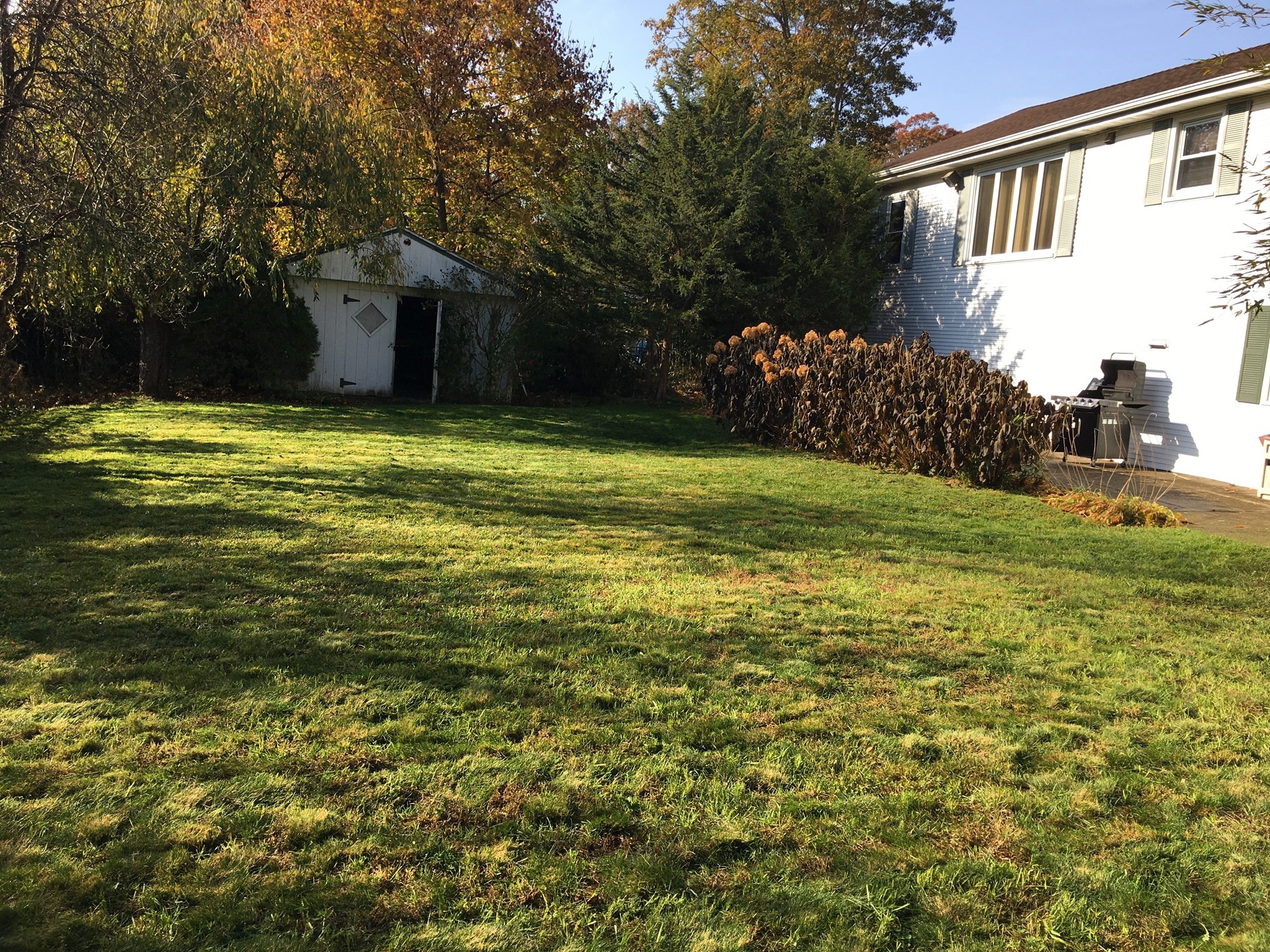 770 County Street Property Photo 20