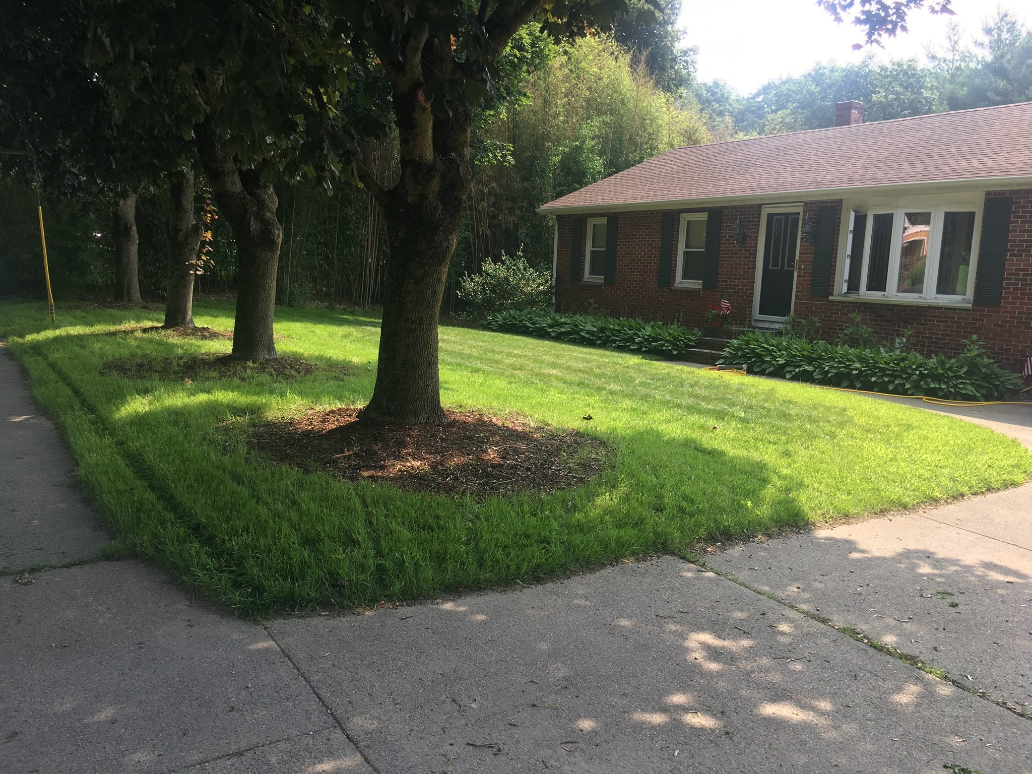 770 County Street Property Photo 28