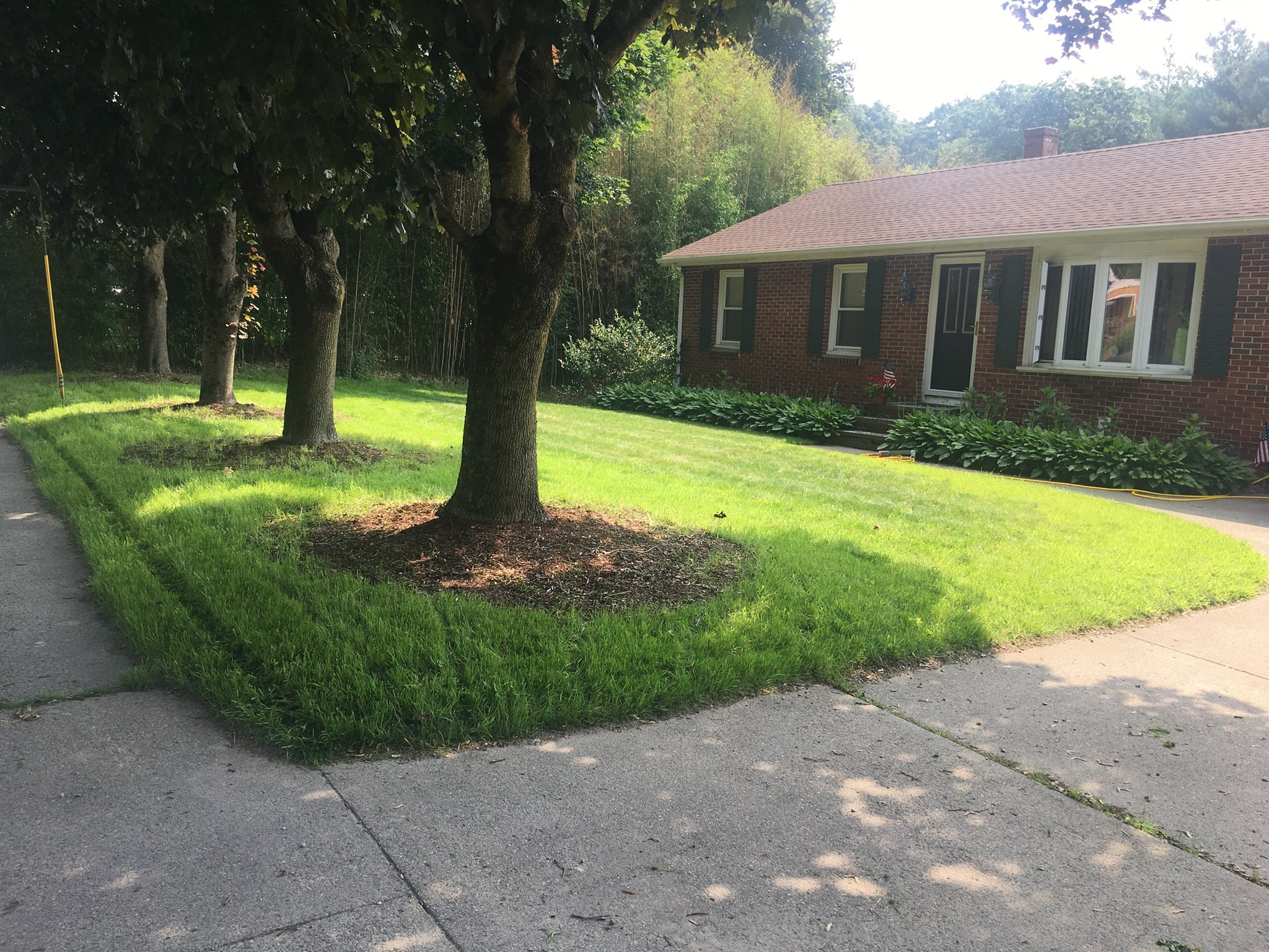 770 County Street Property Photo 29