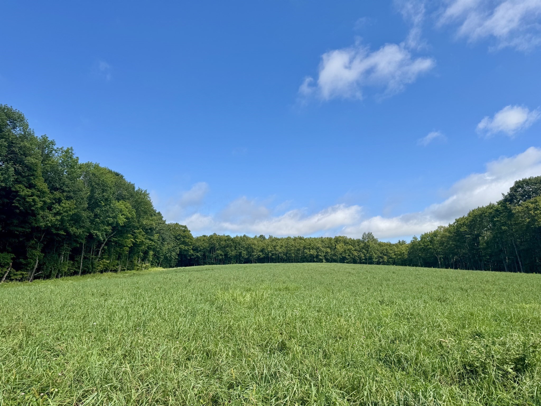54 Patten Road Property Photo 36