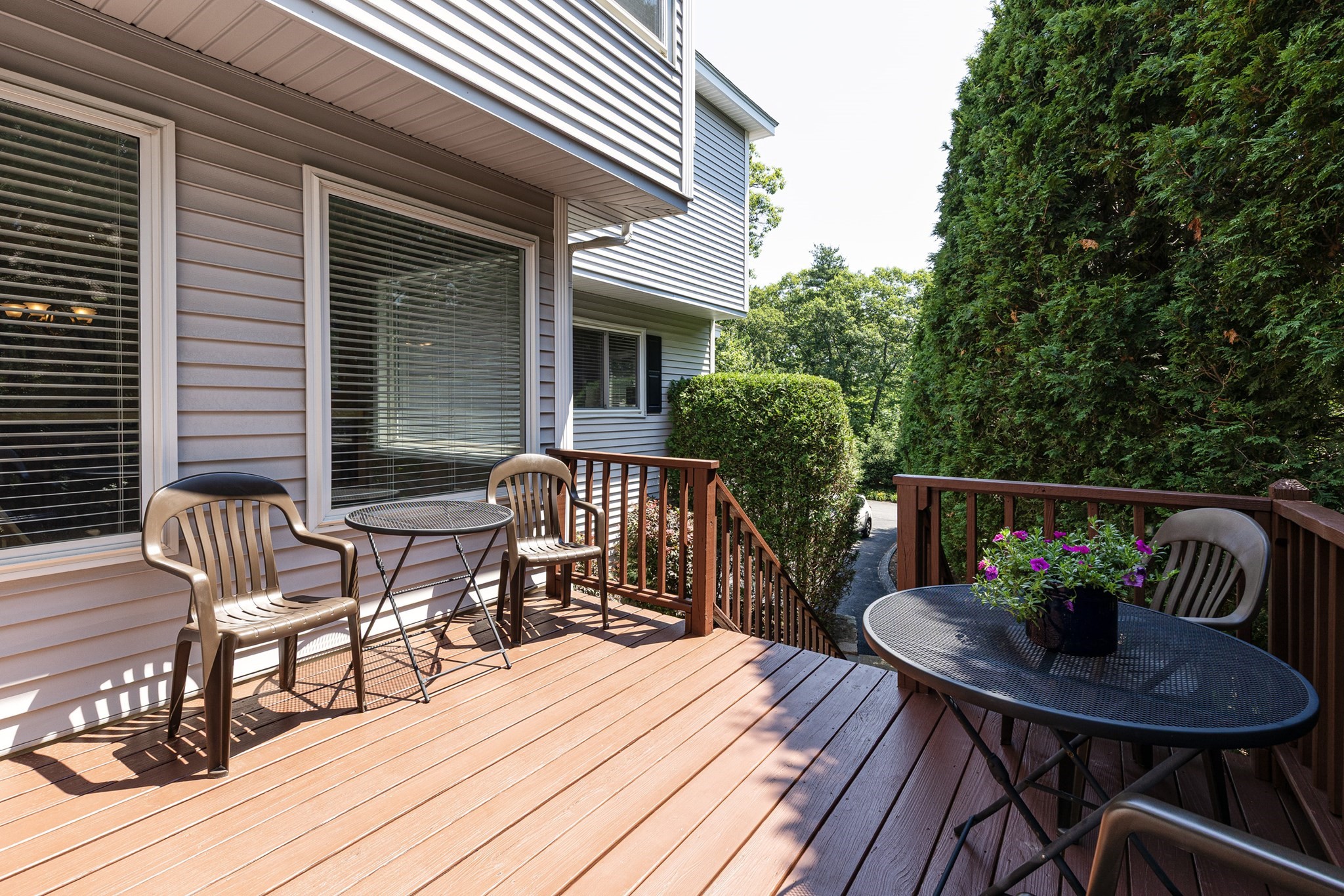 244 Algonquin Trail # D Property Photo 5