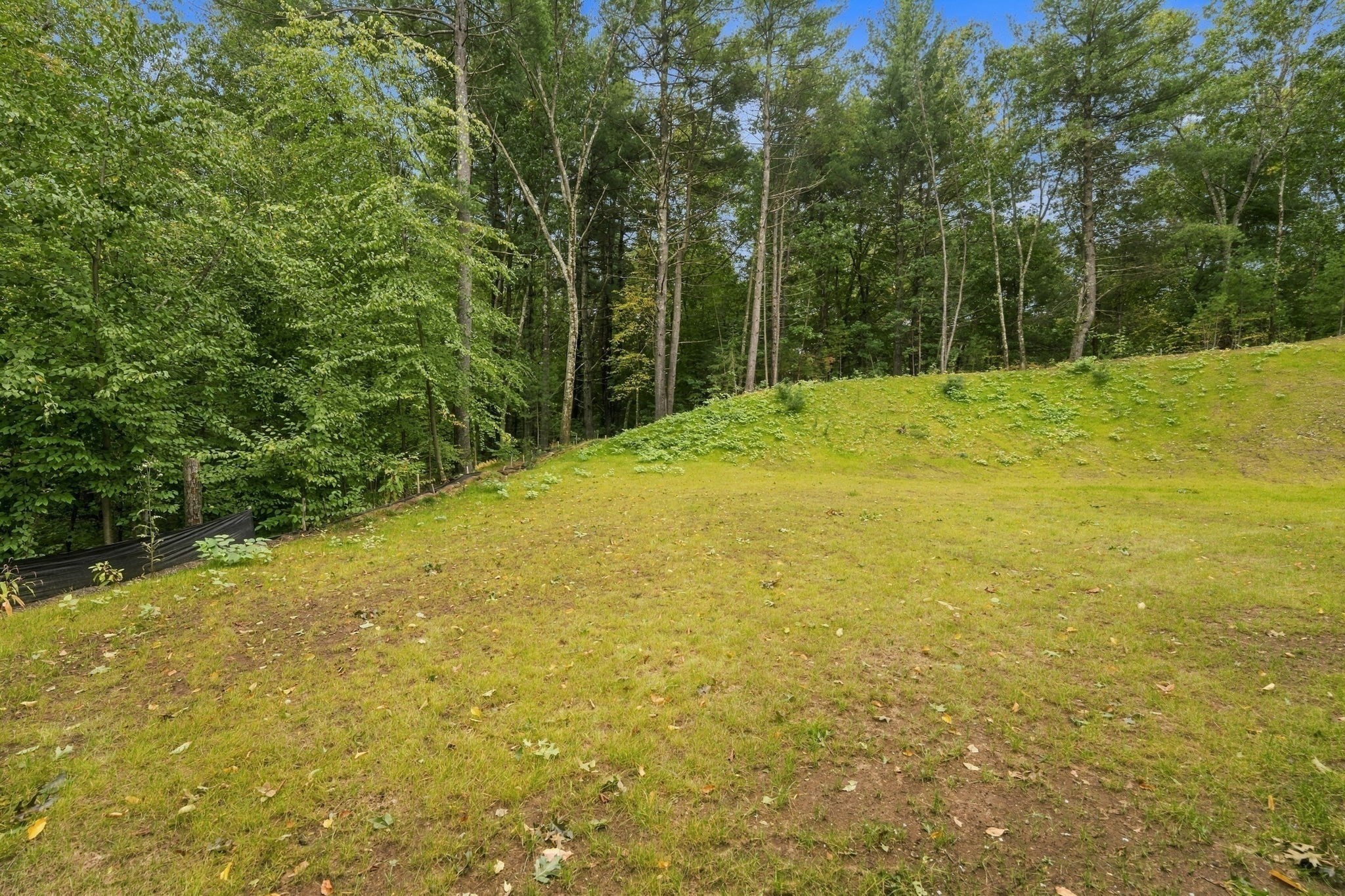 41 Homeward Avenue # B Property Photo 40
