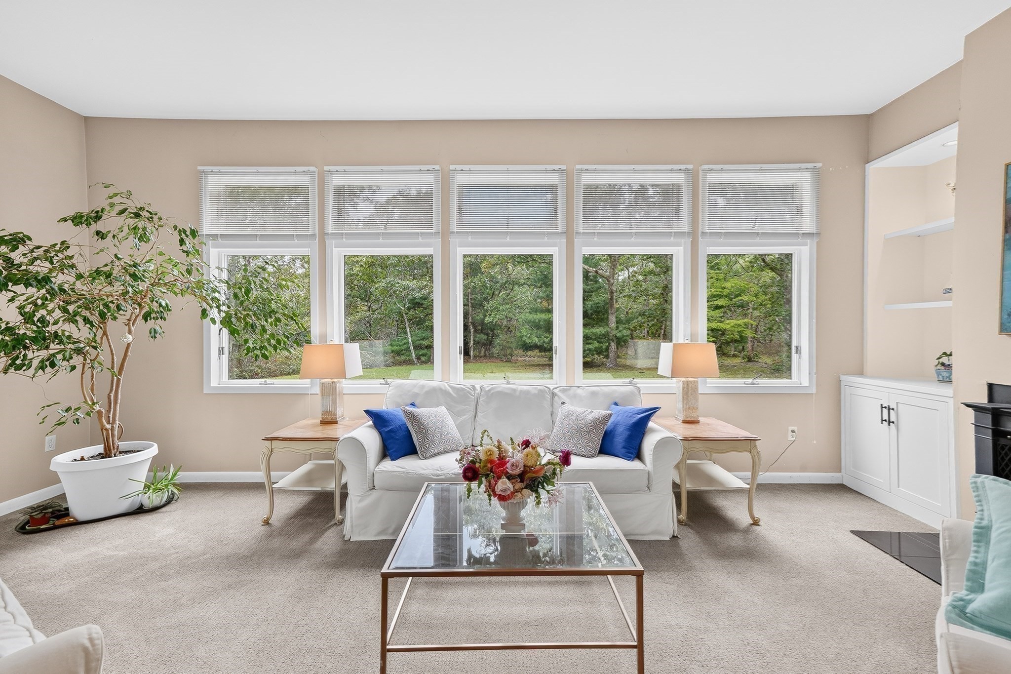 42 Bold Meadow Road Property Photo 11
