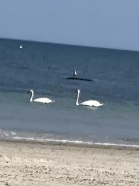 24 Avenue C Property Photo 17