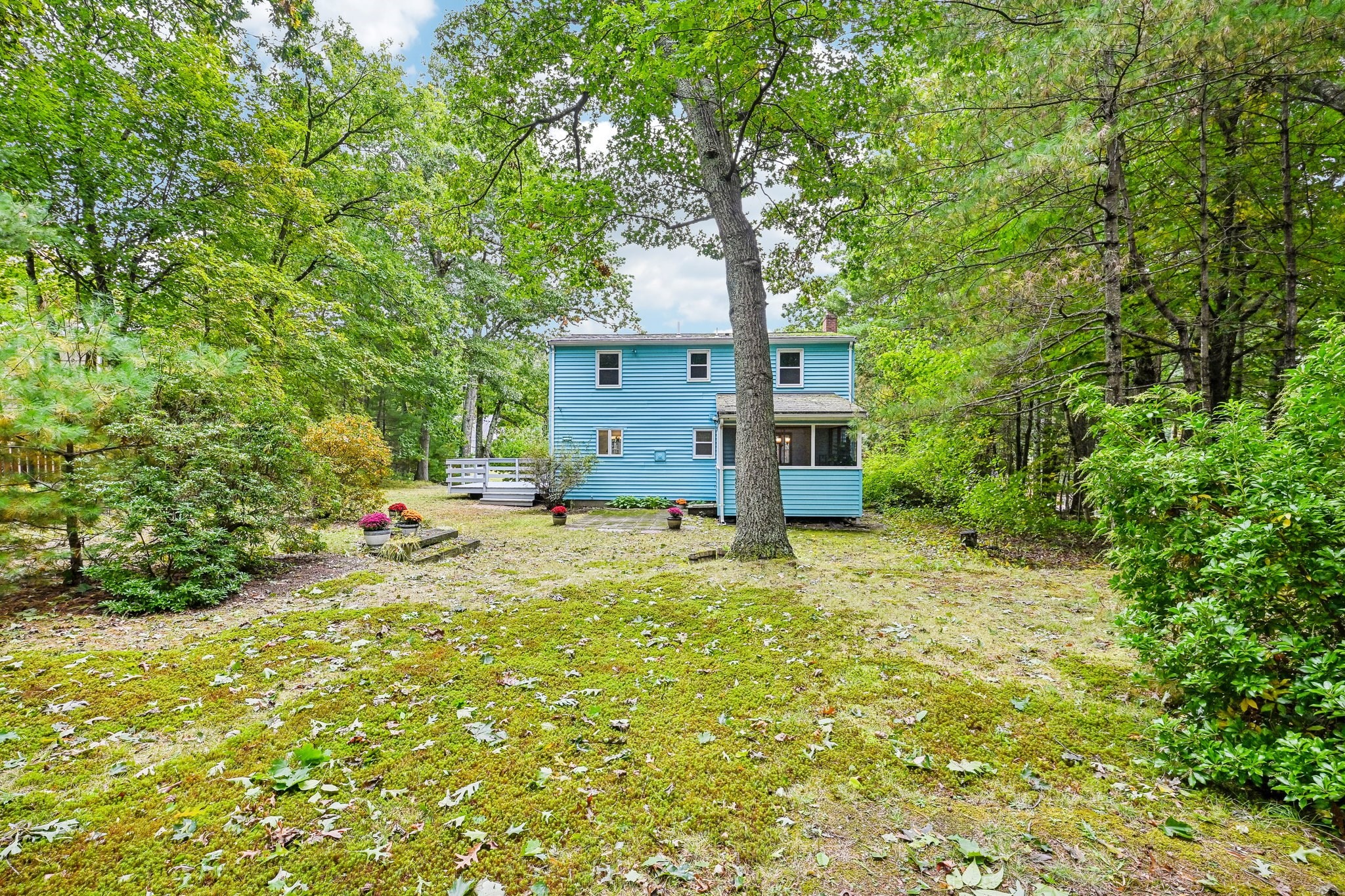 18 Eleanor Rd Property Photo 31