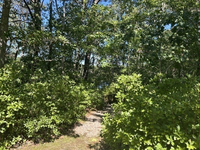222 Buck Island Unit 54 Property Photo 27